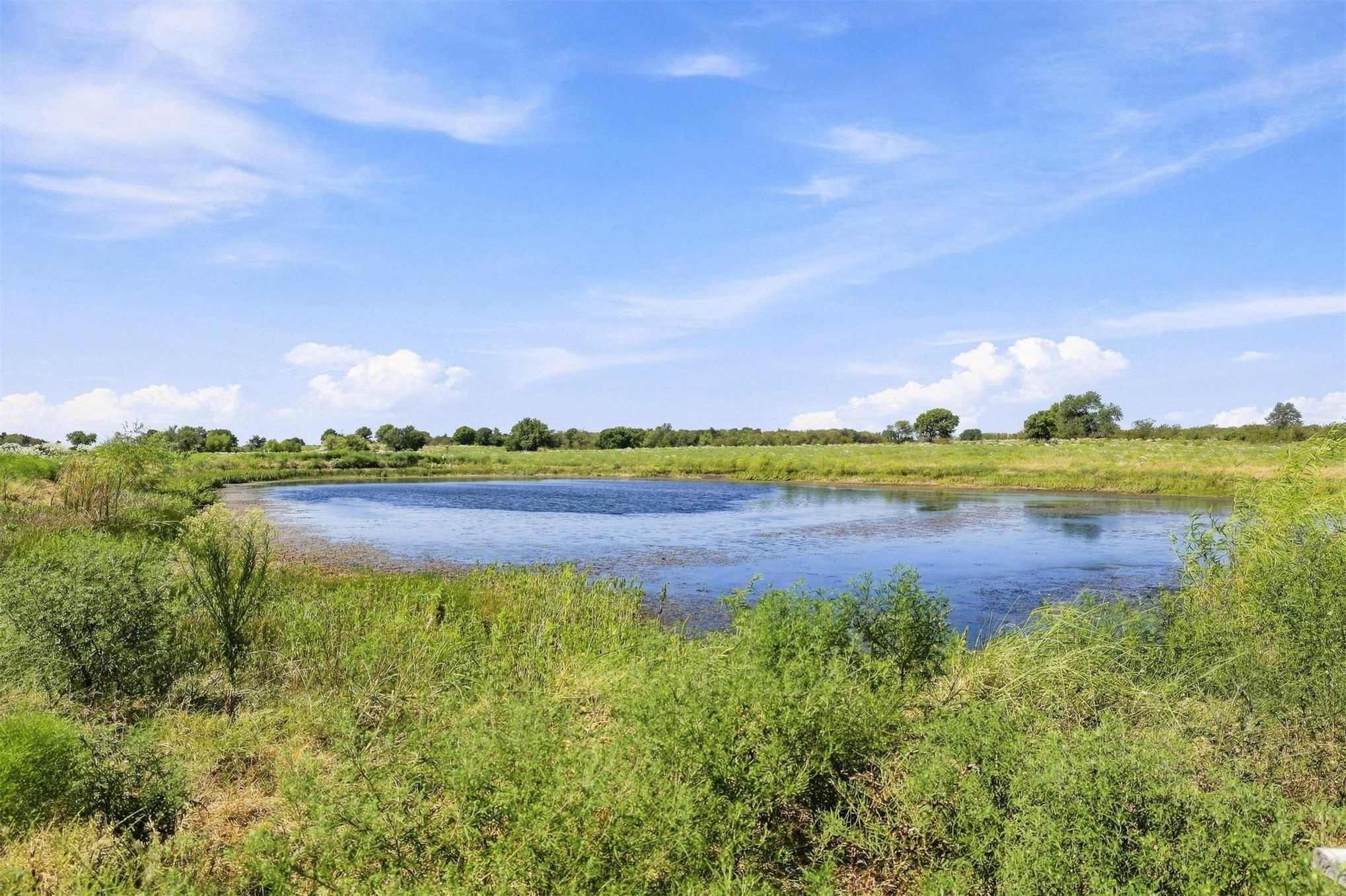 10699 Hwy 377 Property Photo 46