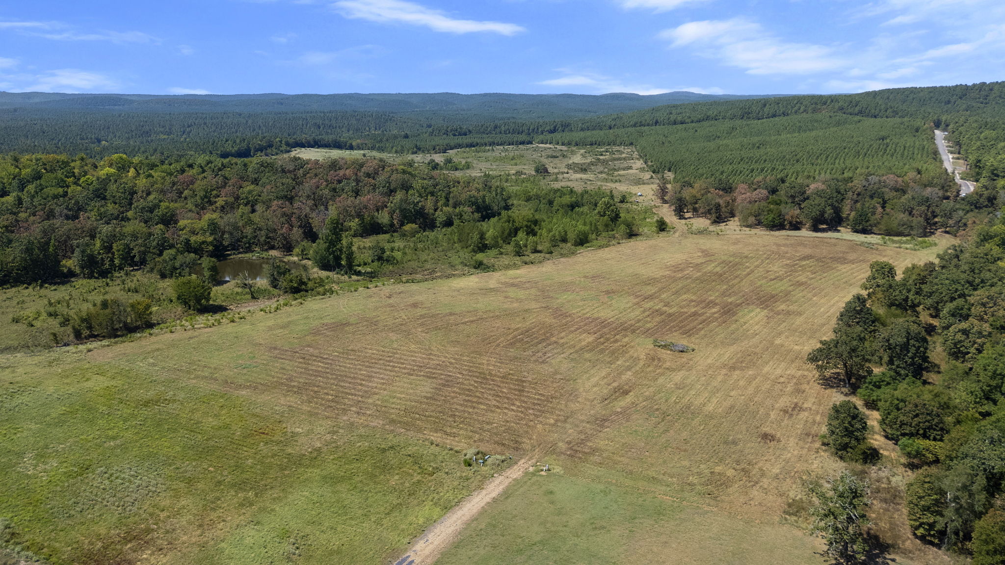 0 Rutty Pine Ridge Property Photo 2