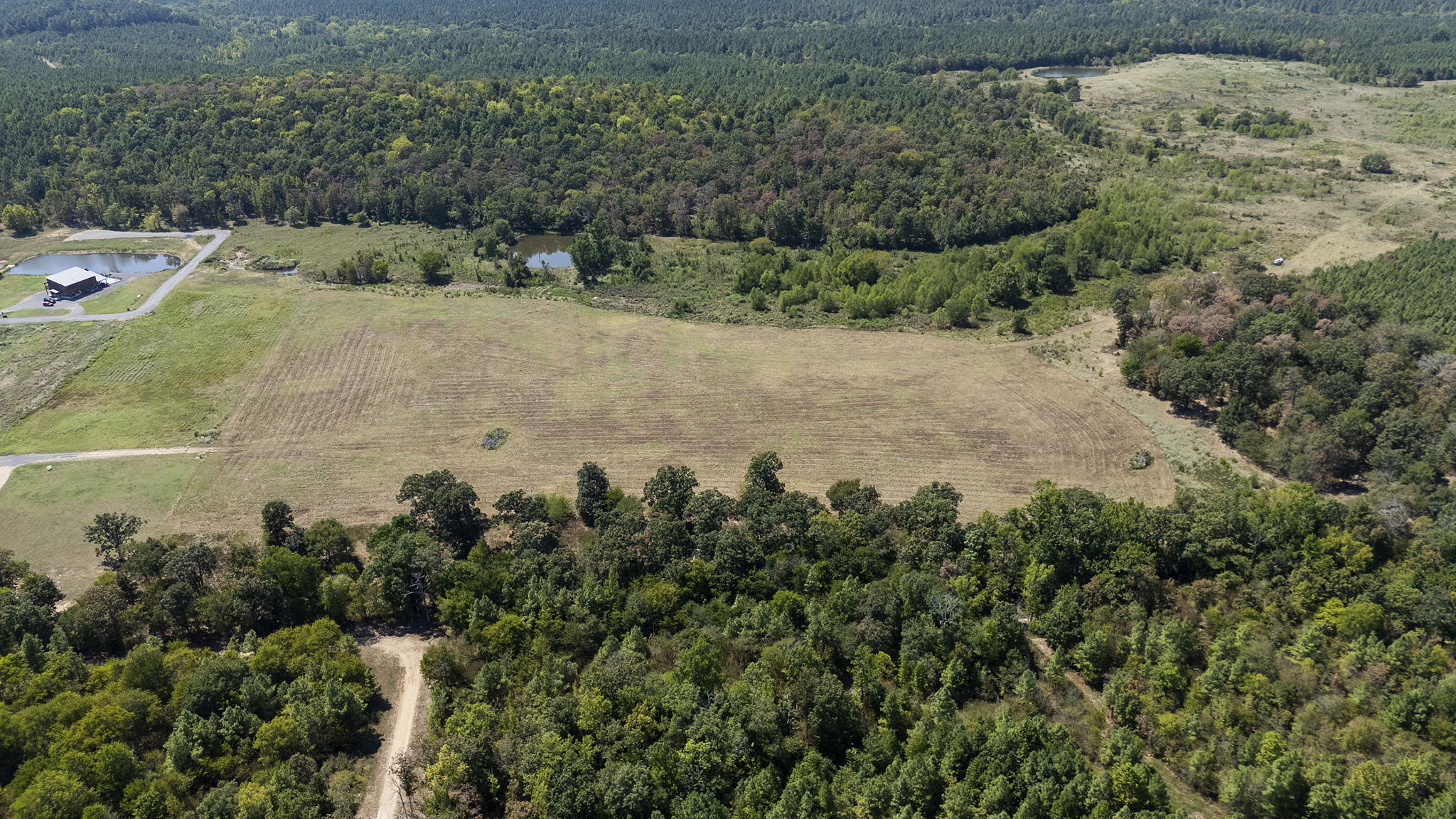 0 Rutty Pine Ridge Property Photo 3