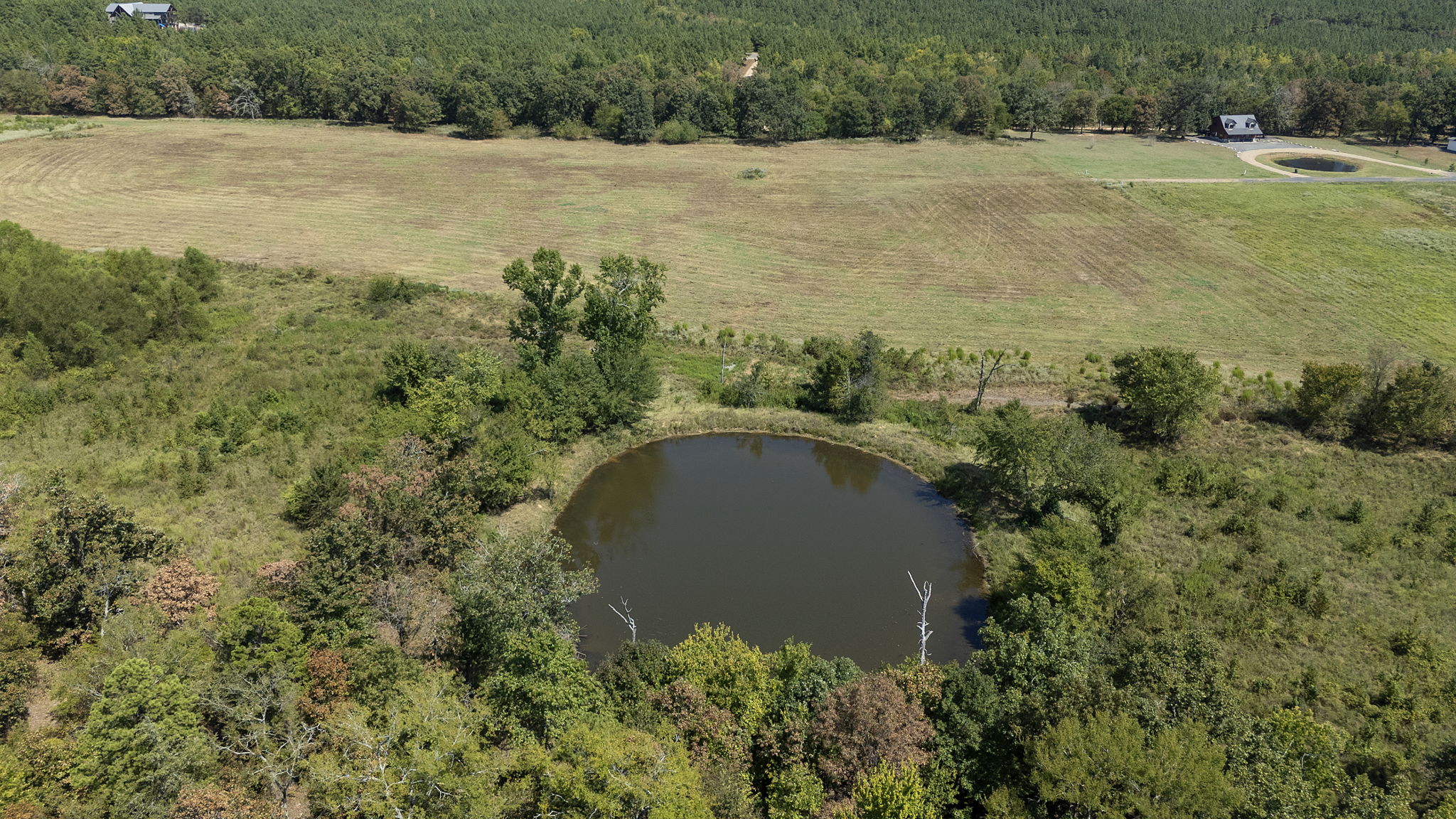 0 Rutty Pine Ridge Property Photo 5