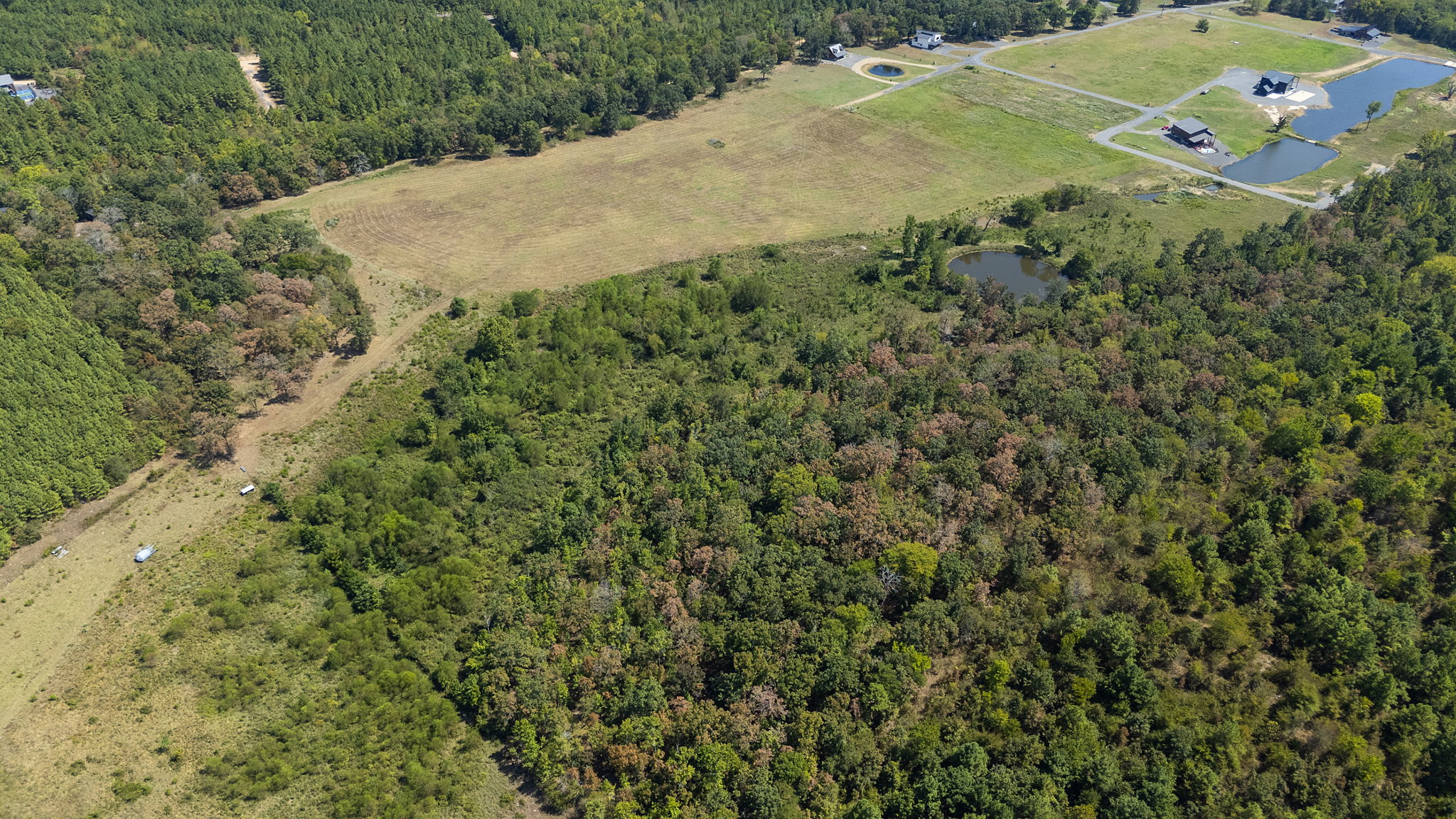 0 Rutty Pine Ridge Property Photo 9
