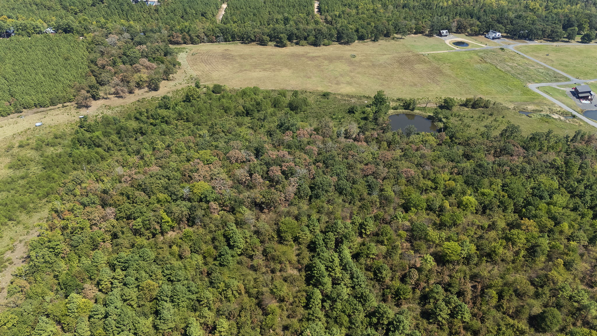0 Rutty Pine Ridge Property Photo 10