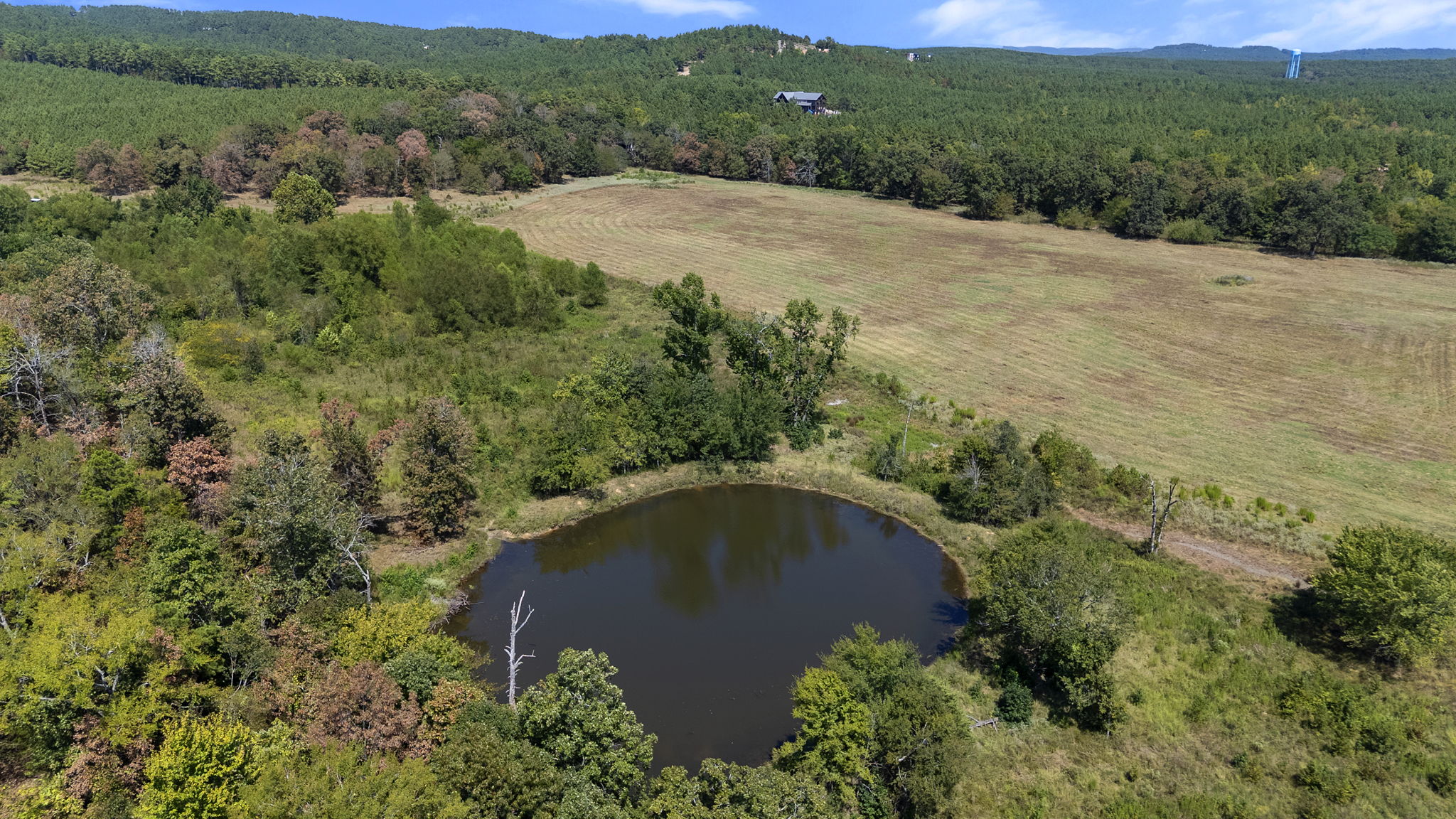 0 Rutty Pine Ridge Property Photo 11