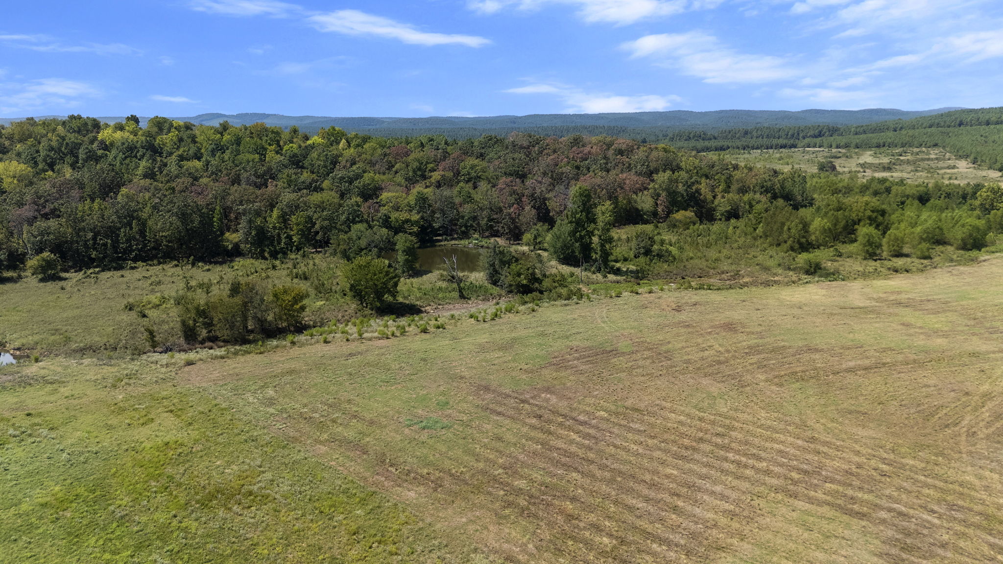0 Rutty Pine Ridge Property Photo 12