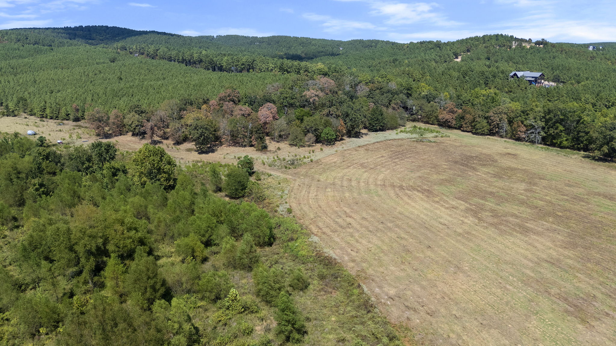 0 Rutty Pine Ridge Property Photo 13