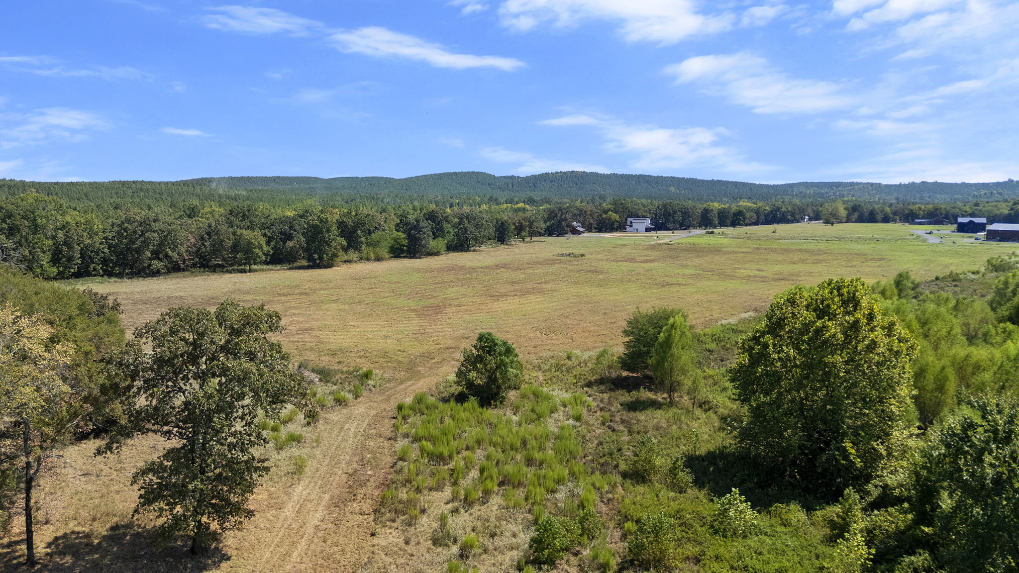 0 Rutty Pine Ridge Property Photo 14