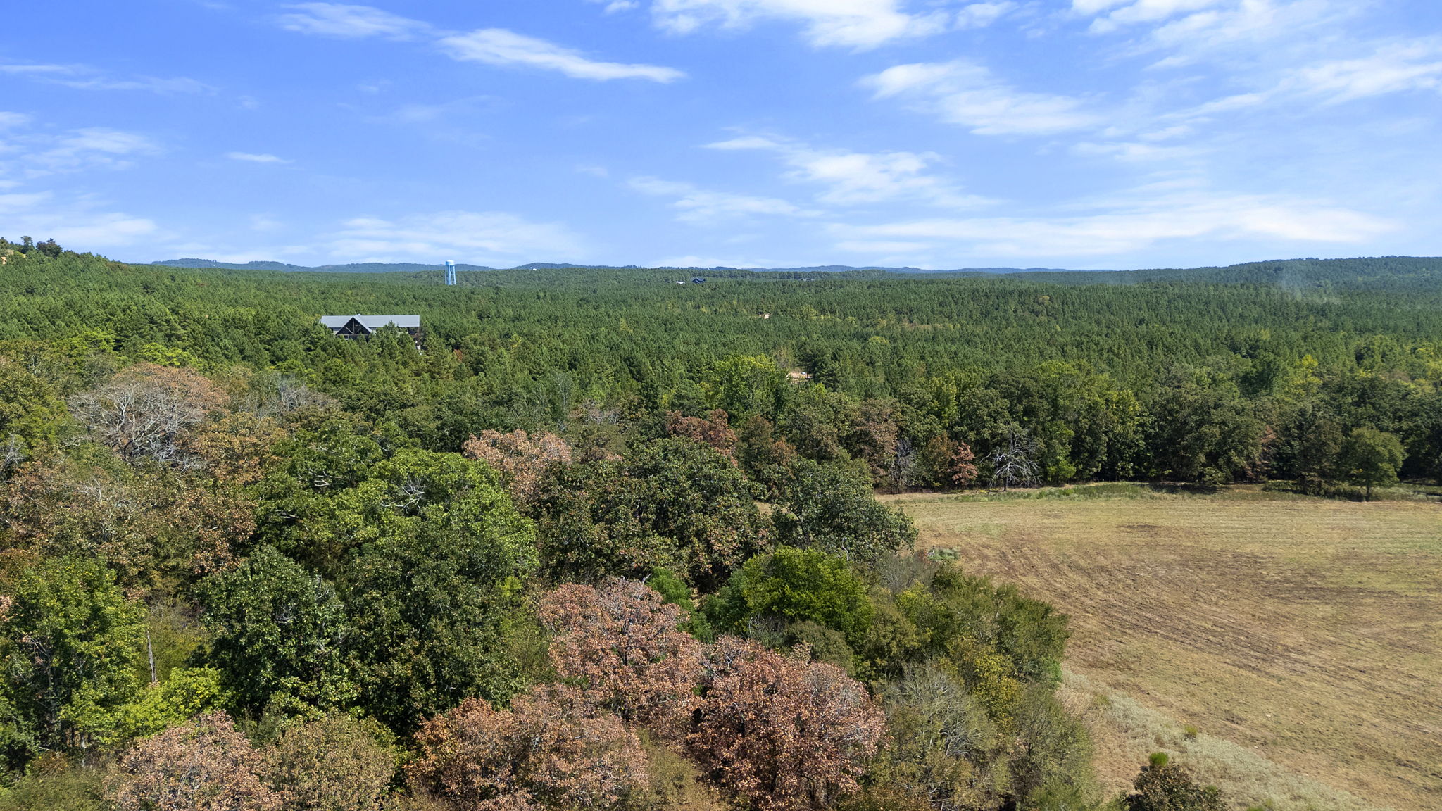 0 Rutty Pine Ridge Property Photo 15