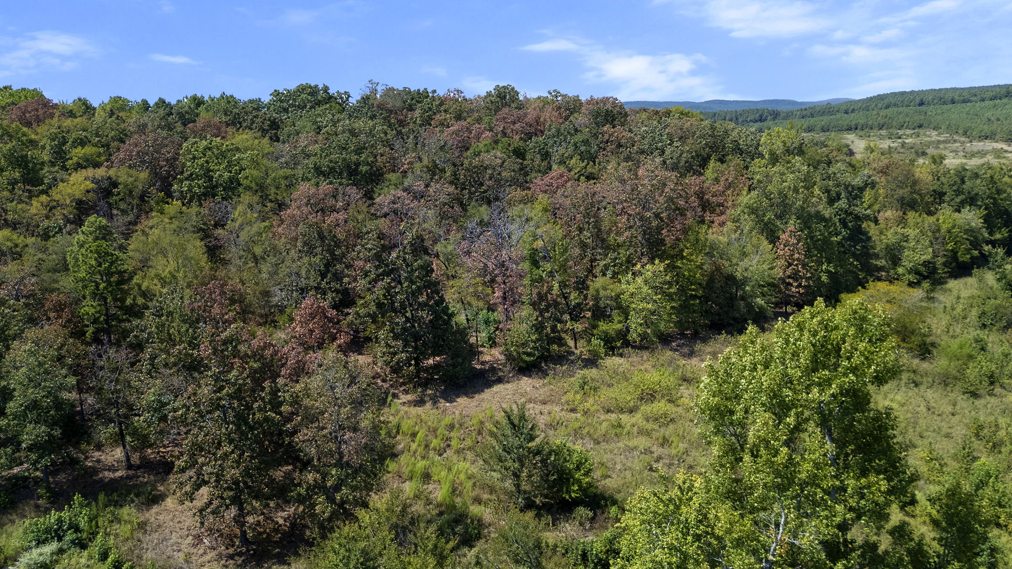 0 Rutty Pine Ridge Property Photo 16