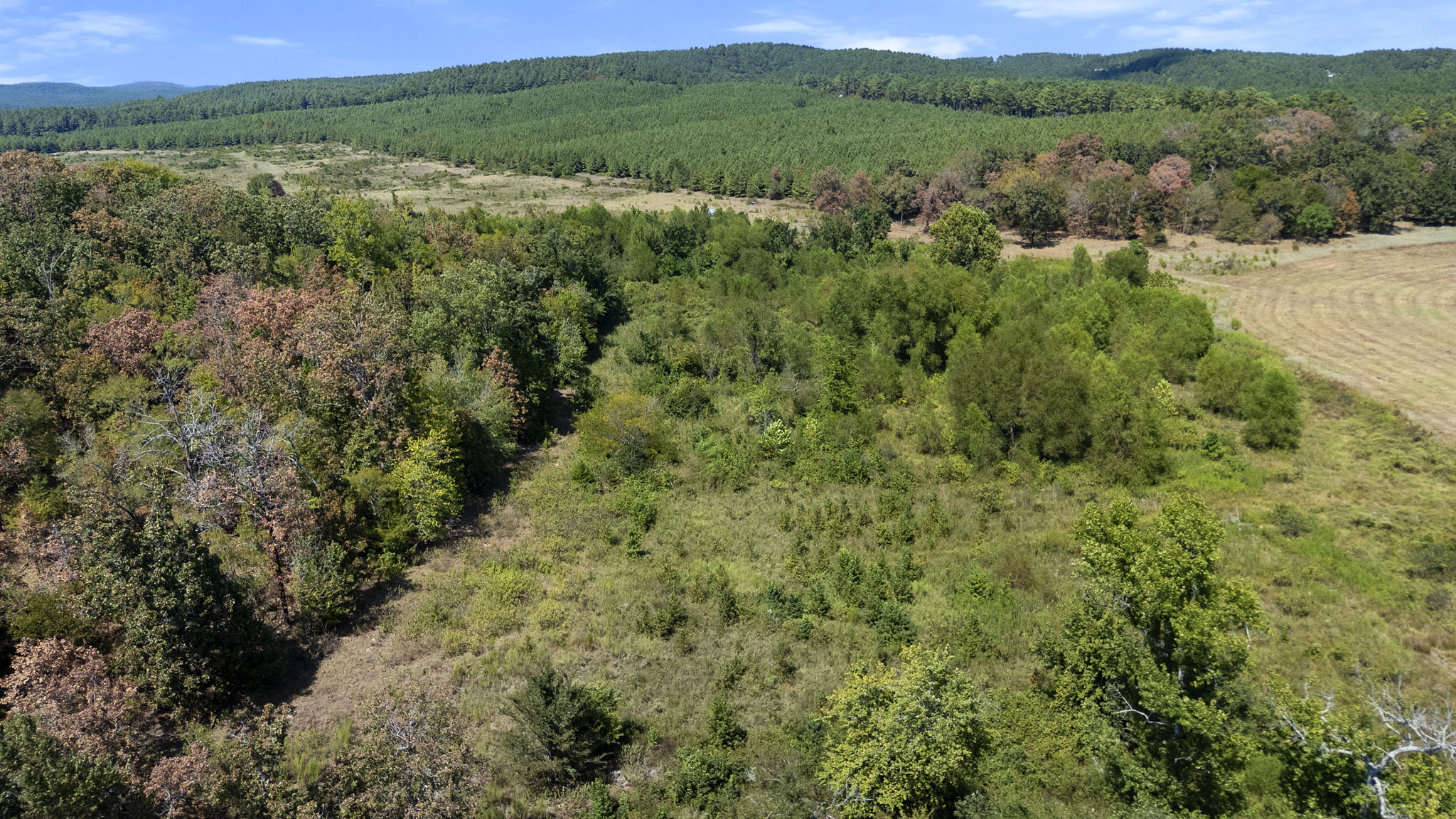 0 Rutty Pine Ridge Property Photo 21