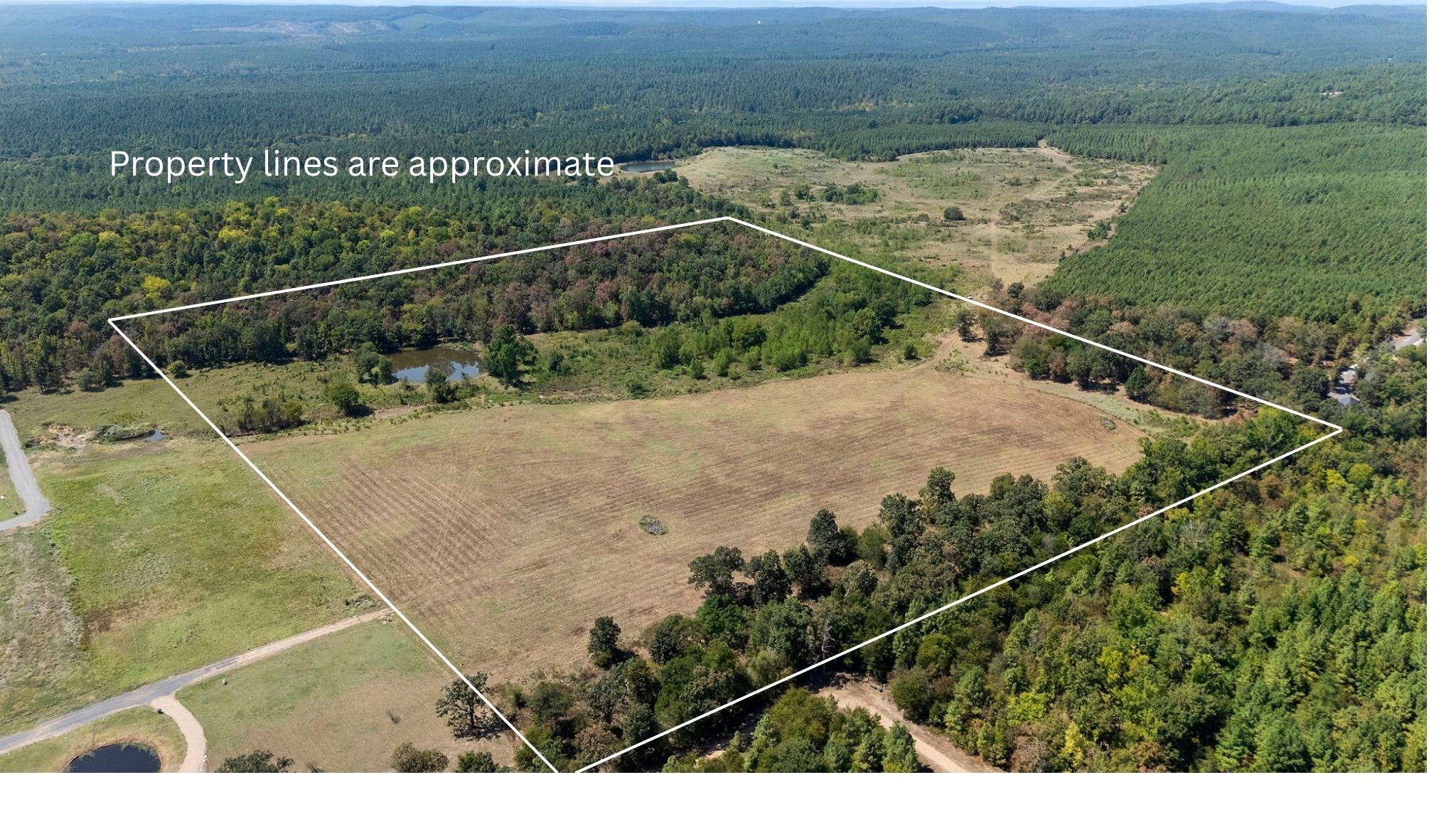 0 Rutty Pine Ridge Property Photo 22