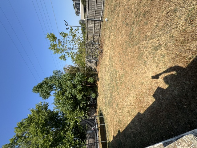105 E Neff Street Property Photo 13