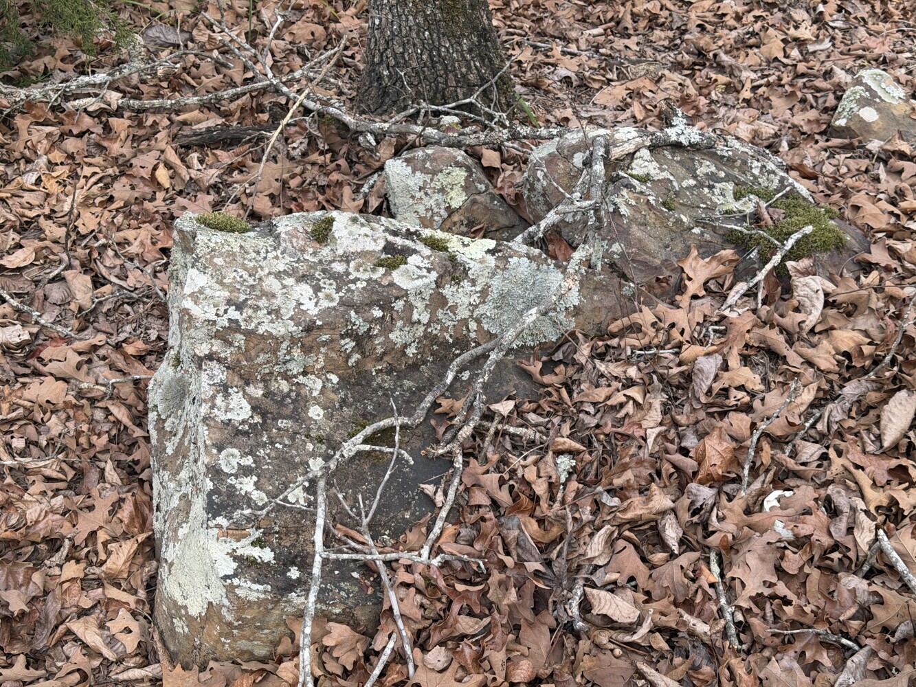 0001 Hwy 1 Property Photo 13