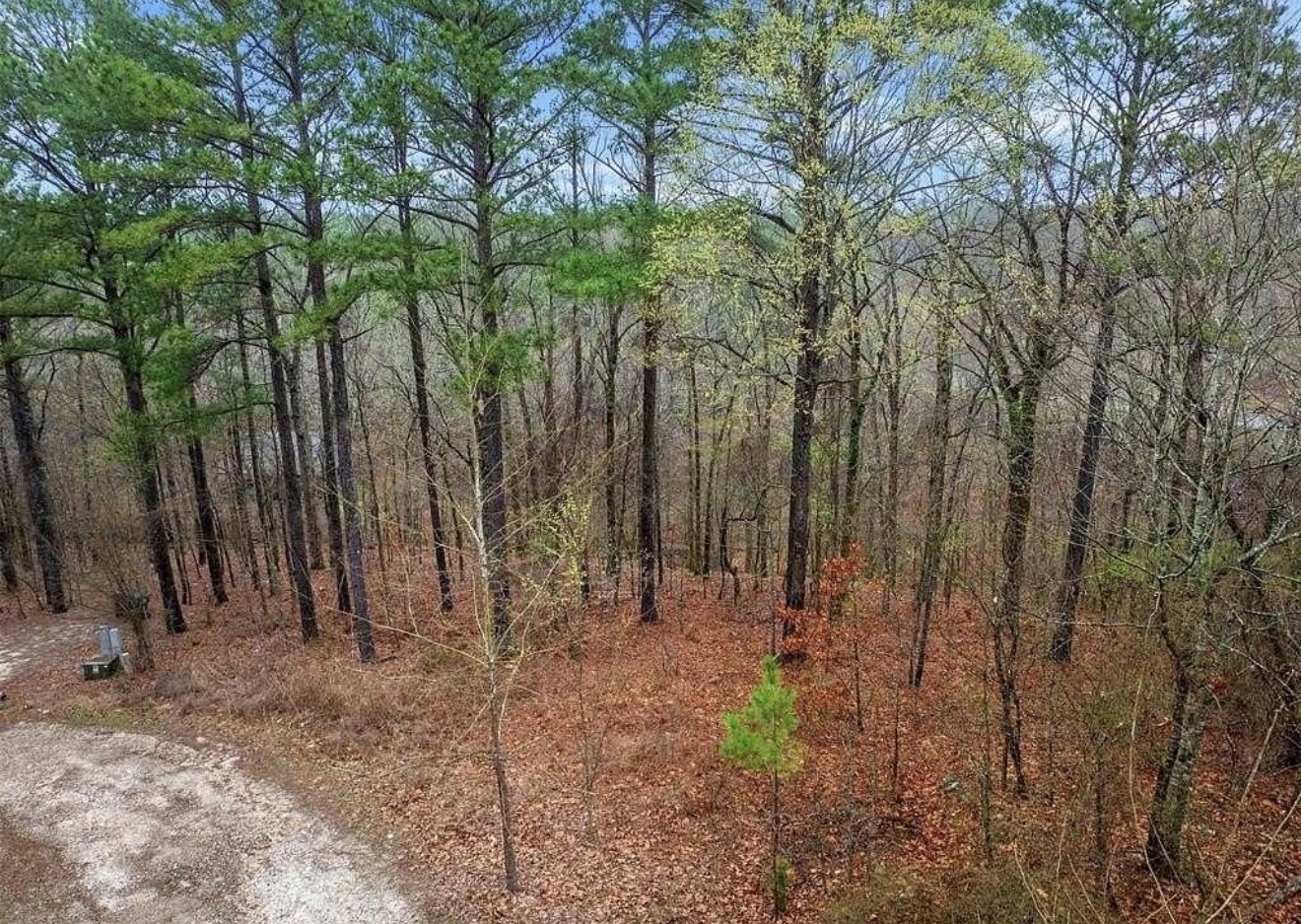 235 Hochapine Trail Property Photo 1