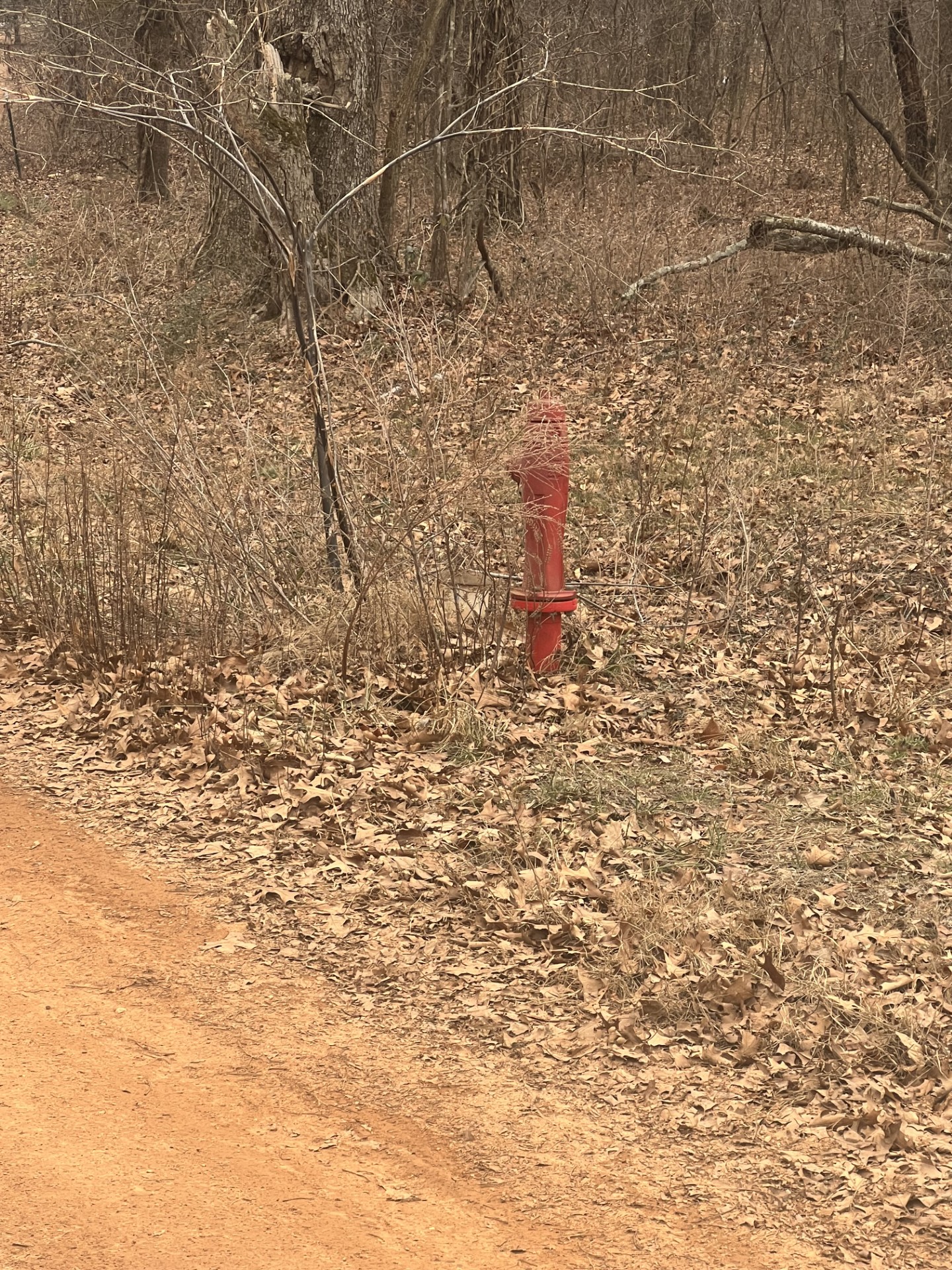 000 Hwy 28 Circle Property Photo 8