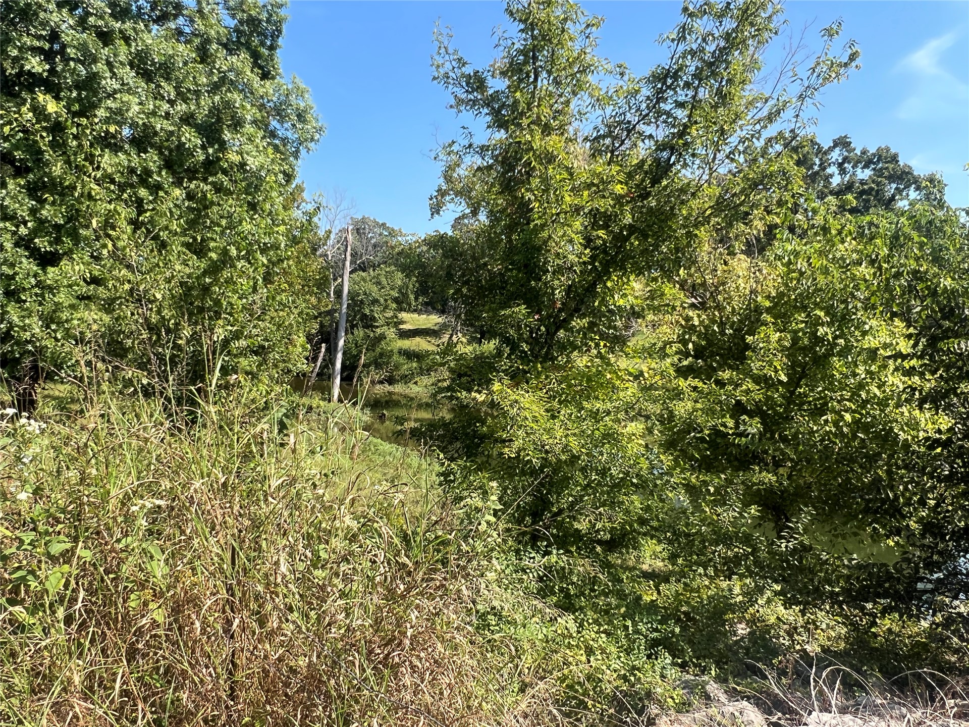34464 S County Road 4440 Road Property Photo 40
