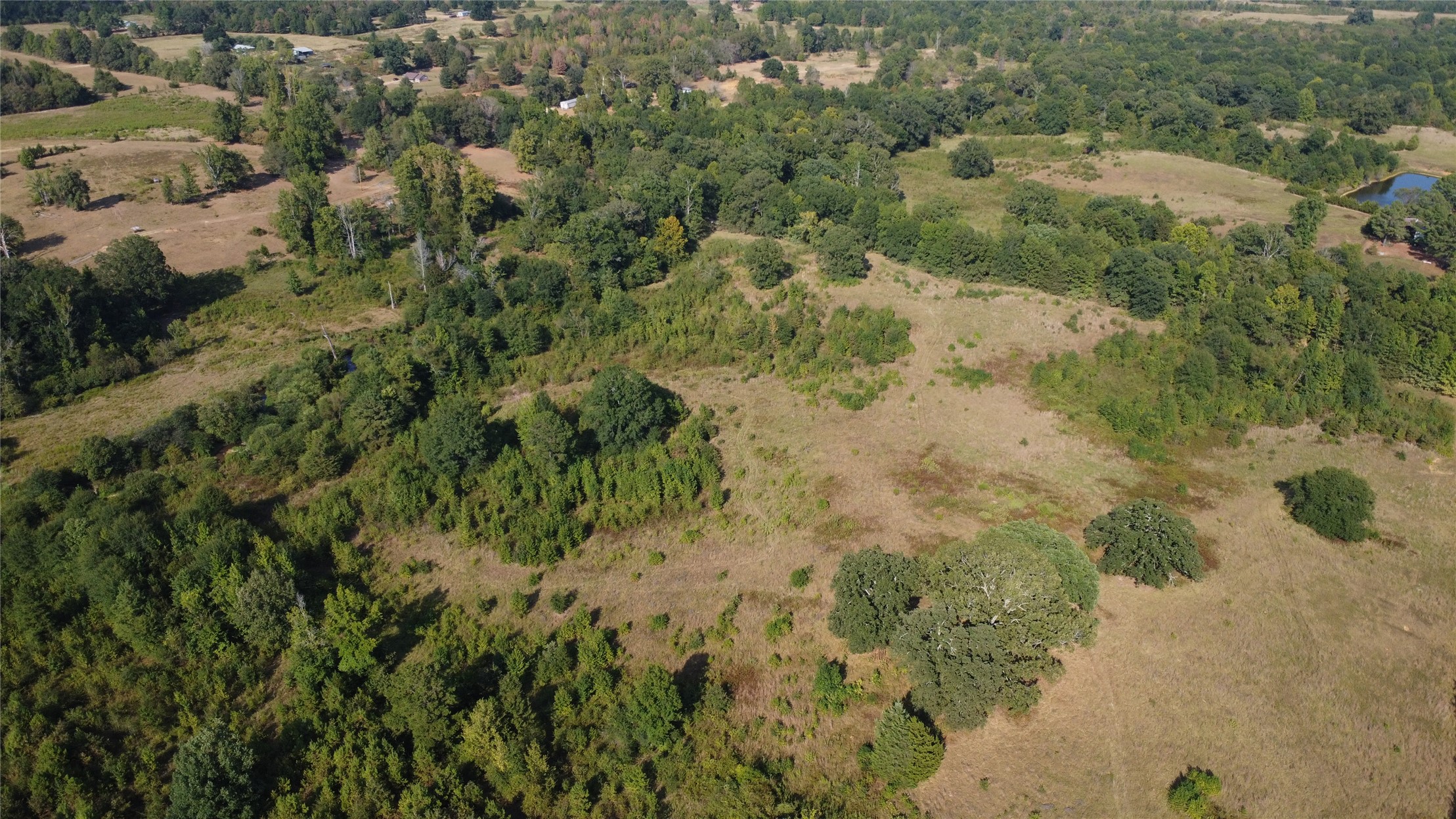0000 Whippoorwill Road