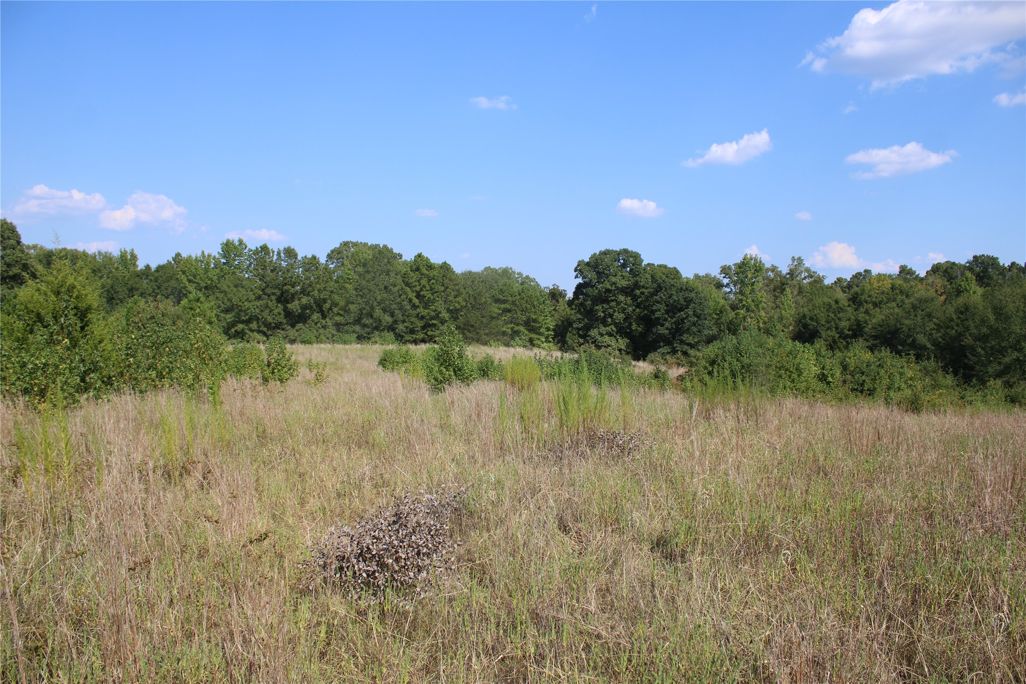 0000 Whippoorwill Road Property Photo 12