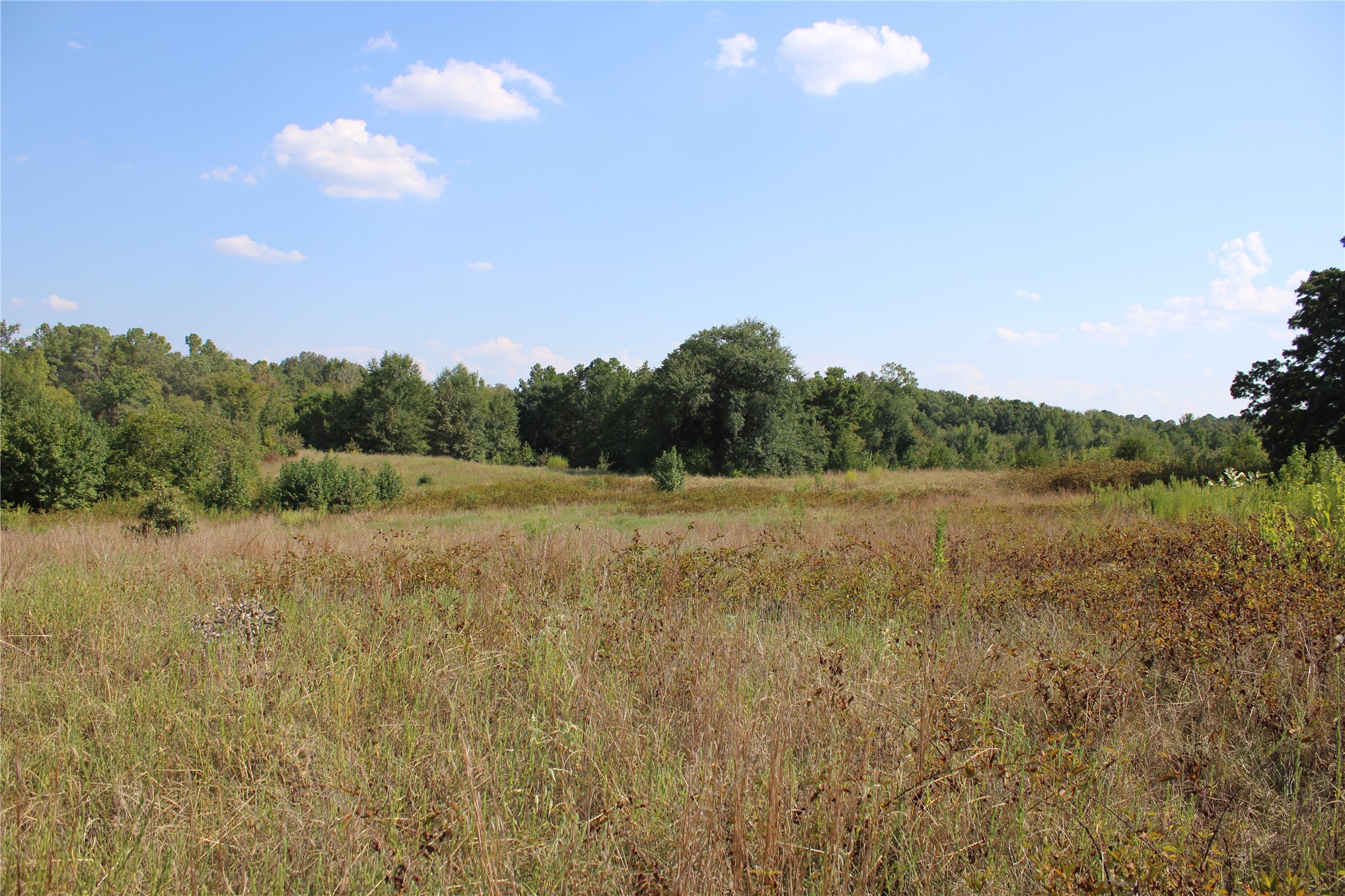 0000 Whippoorwill Road Property Photo 13