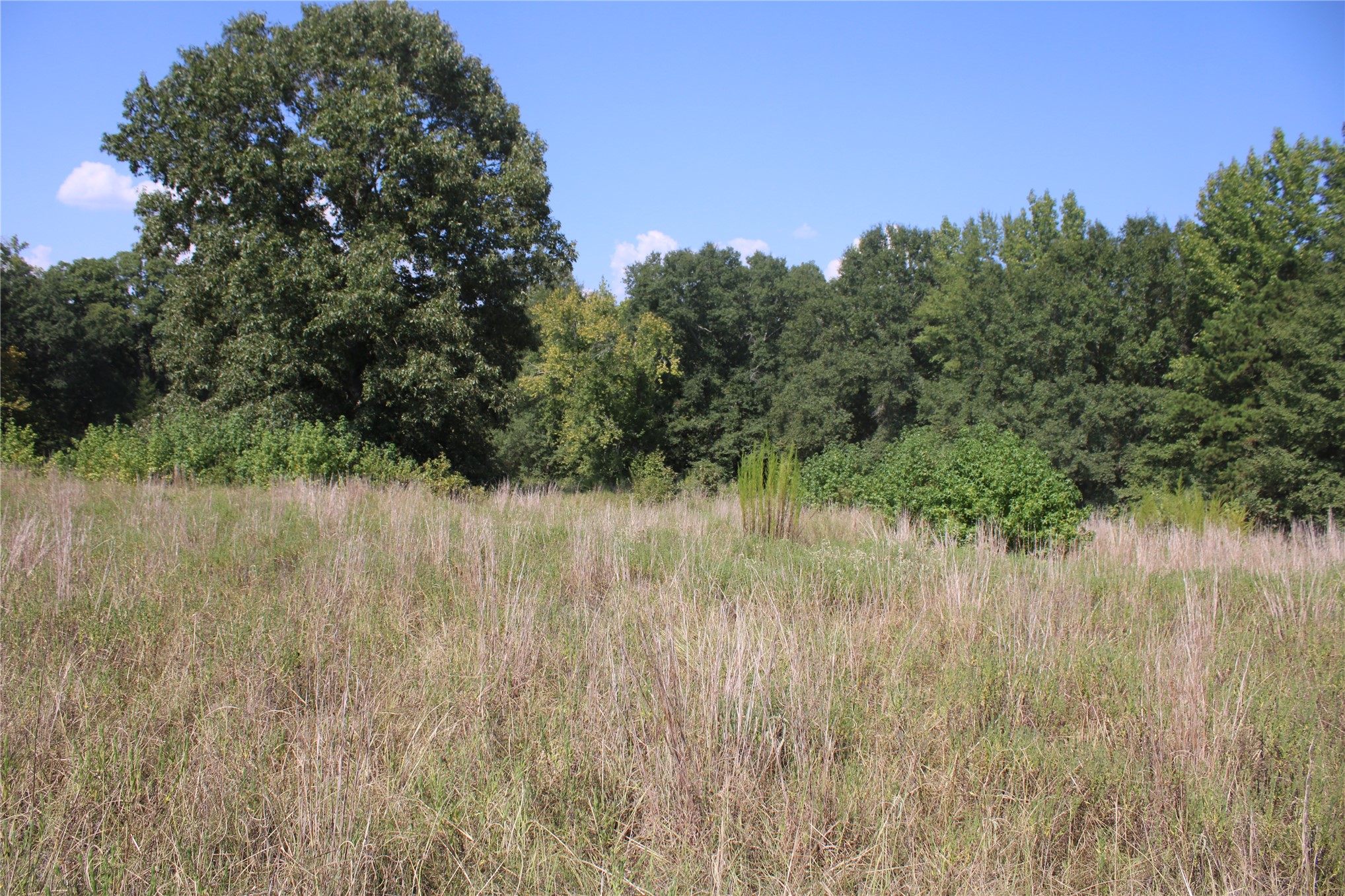 0000 Whippoorwill Road Property Photo 14