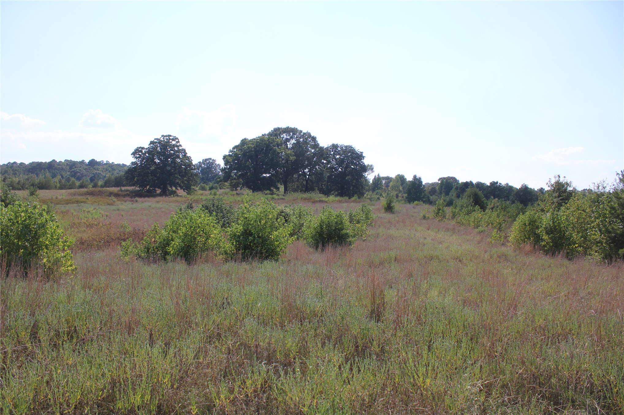 0000 Whippoorwill Road Property Photo 15