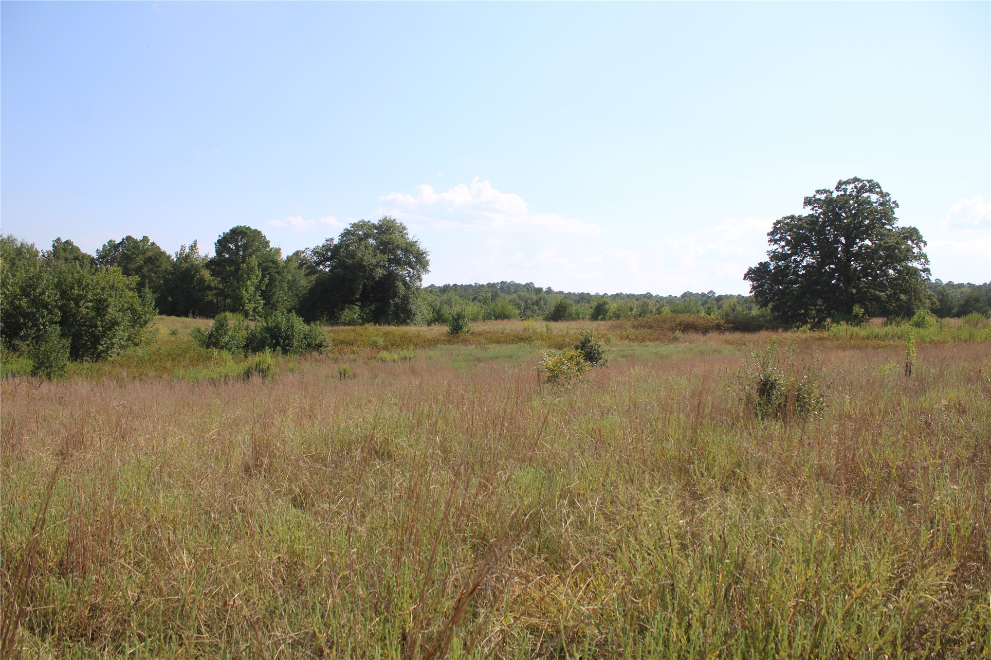 0000 Whippoorwill Road Property Photo 16
