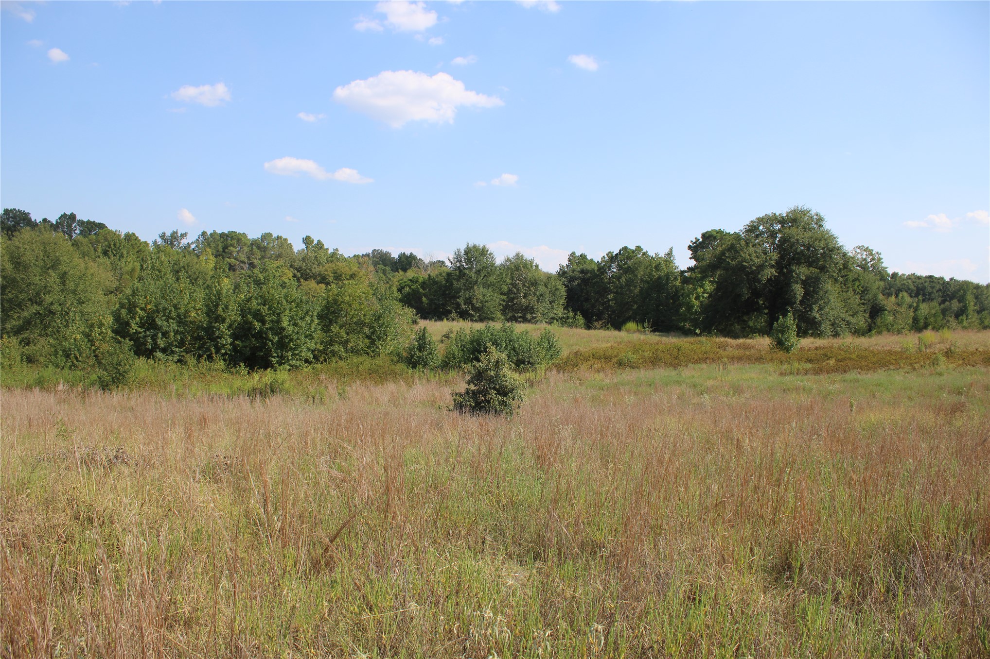 0000 Whippoorwill Road Property Photo 17