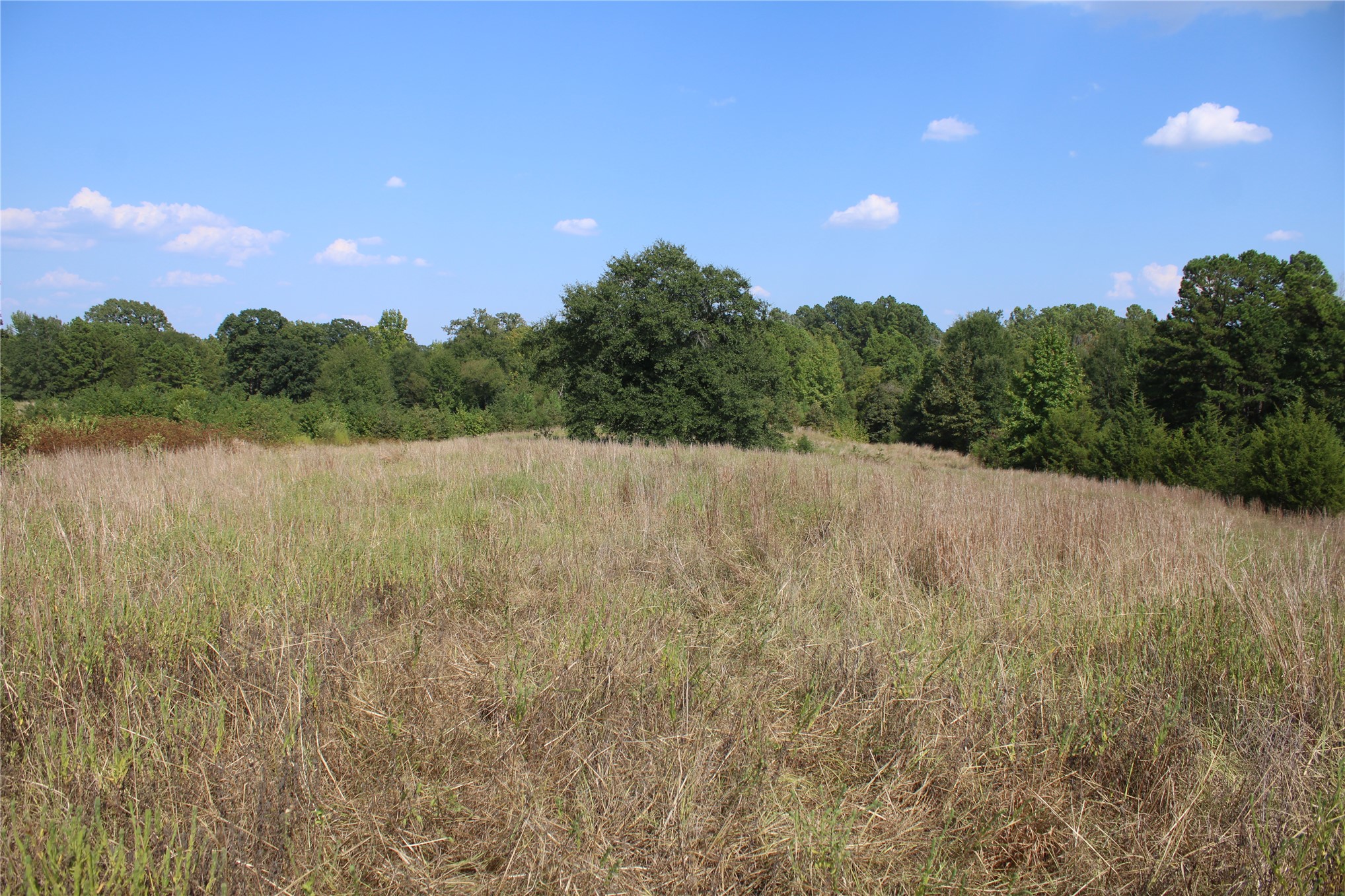 0000 Whippoorwill Road Property Photo 18