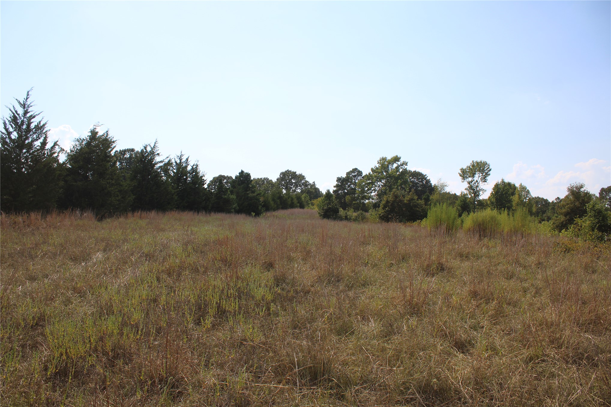 0000 Whippoorwill Road Property Photo 19