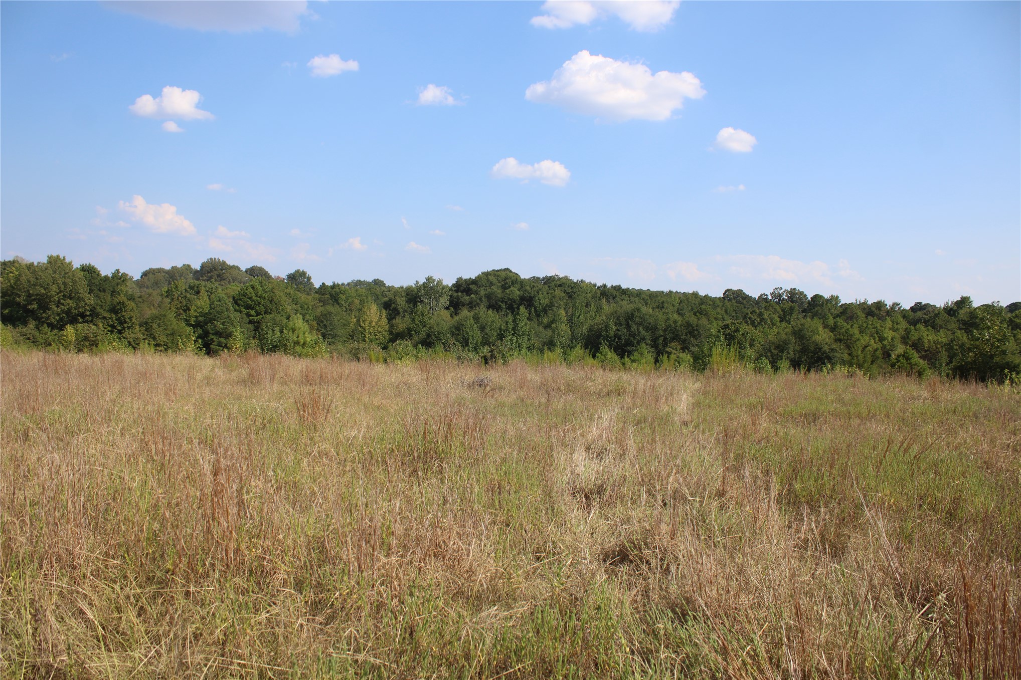 0000 Whippoorwill Road Property Photo 20