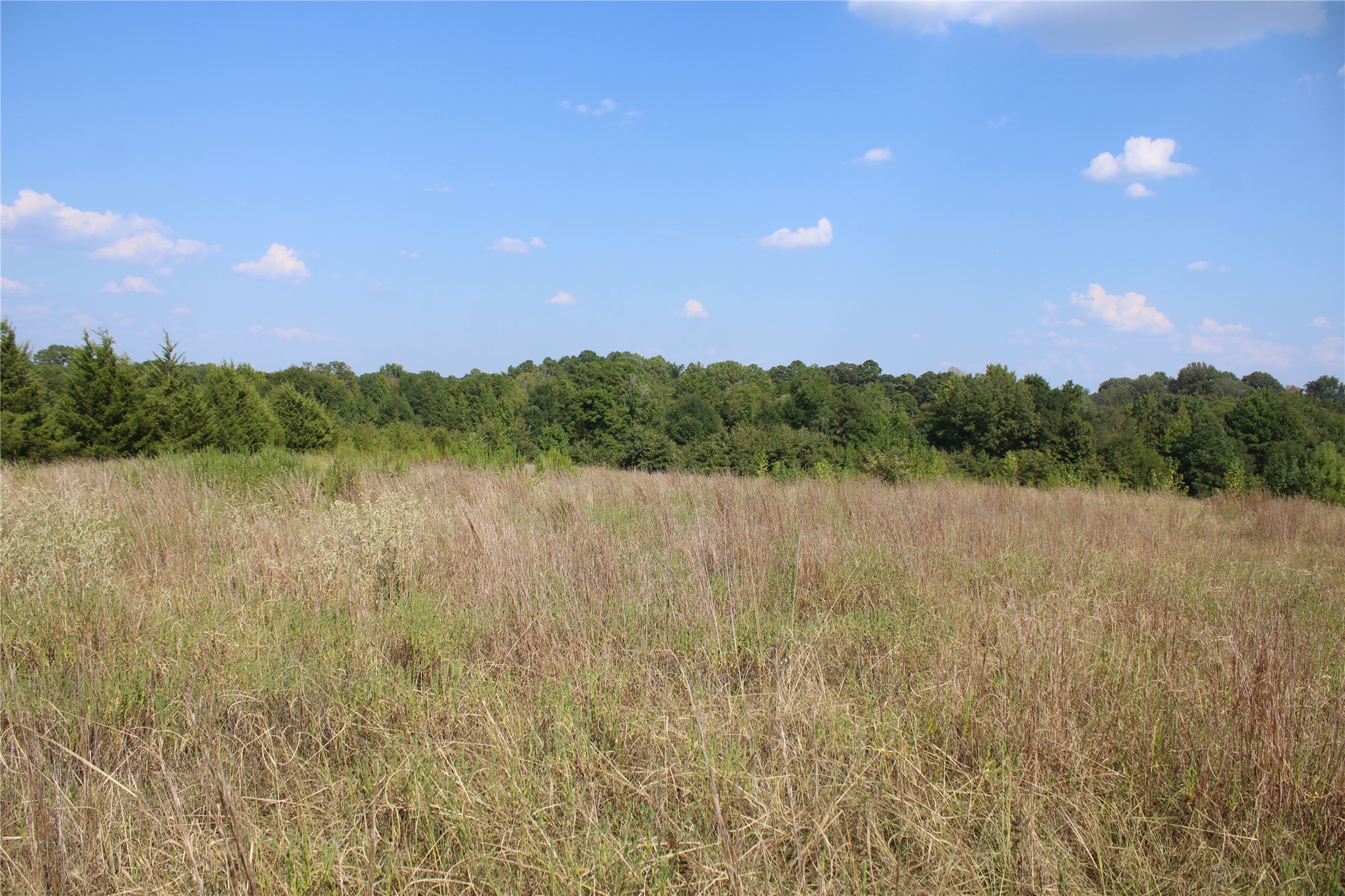 0000 Whippoorwill Road Property Photo 21