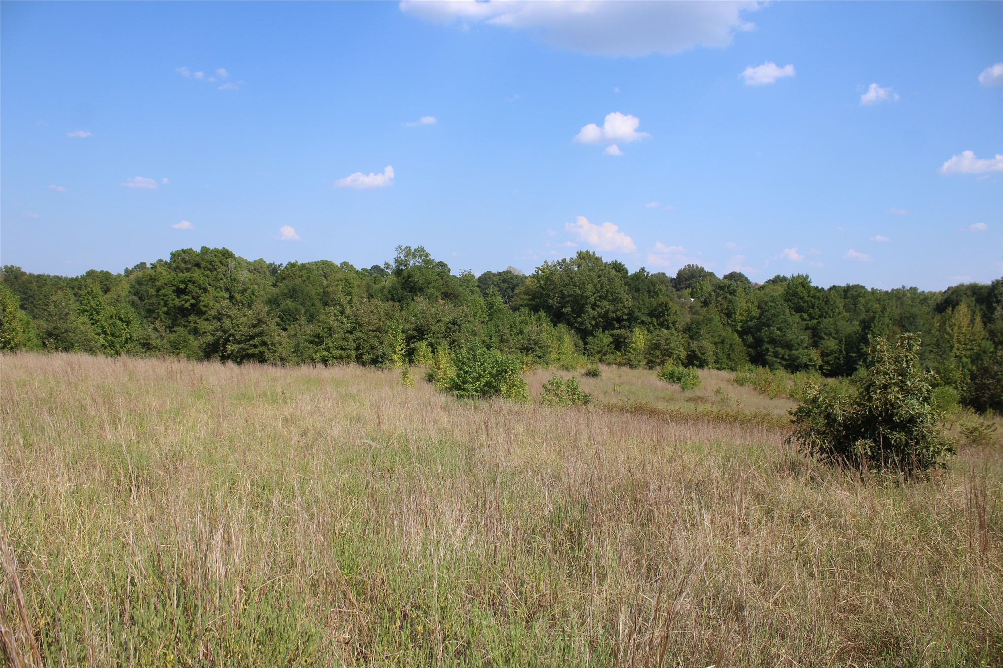0000 Whippoorwill Road Property Photo 22
