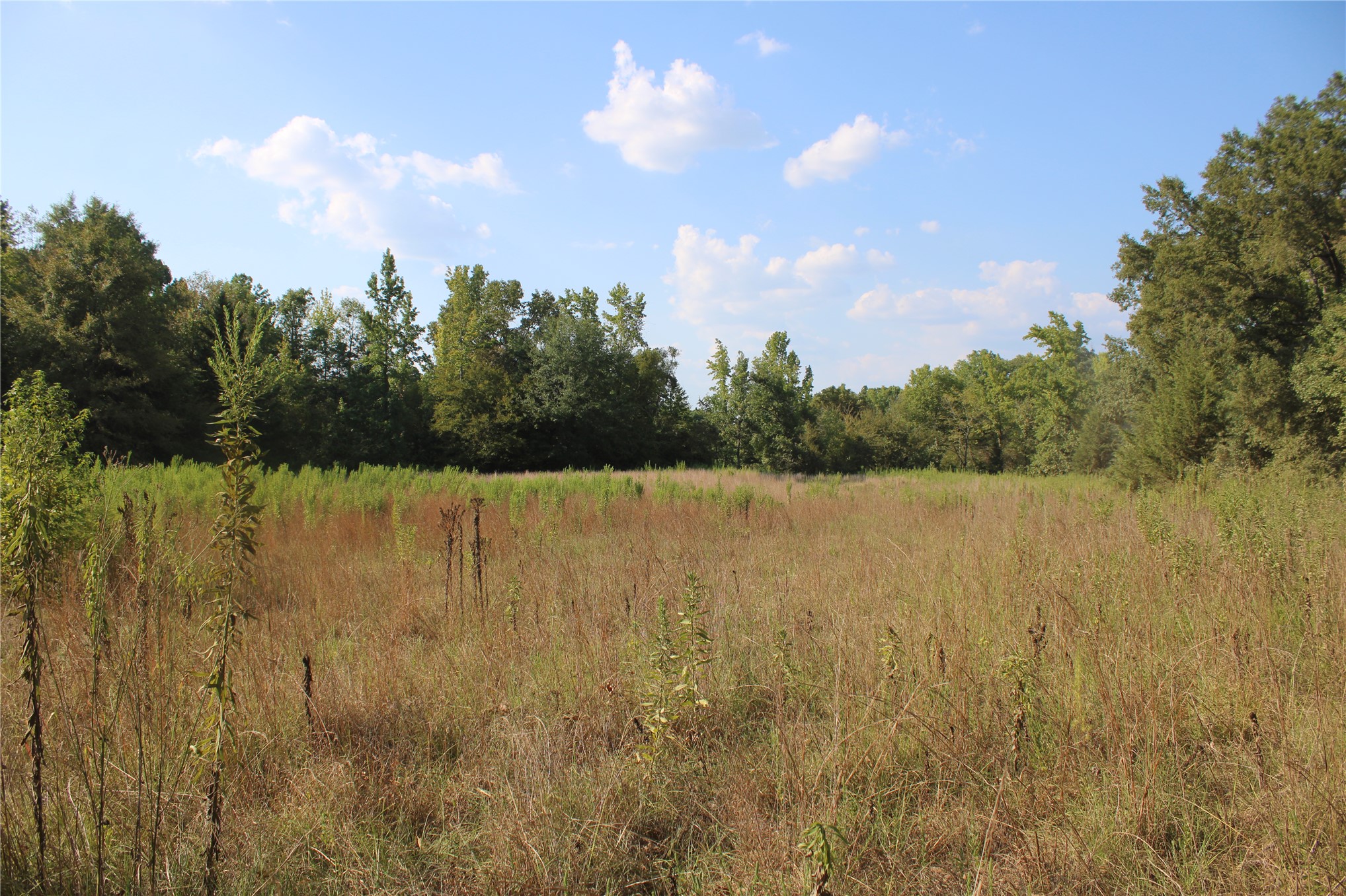 0000 Whippoorwill Road Property Photo 23