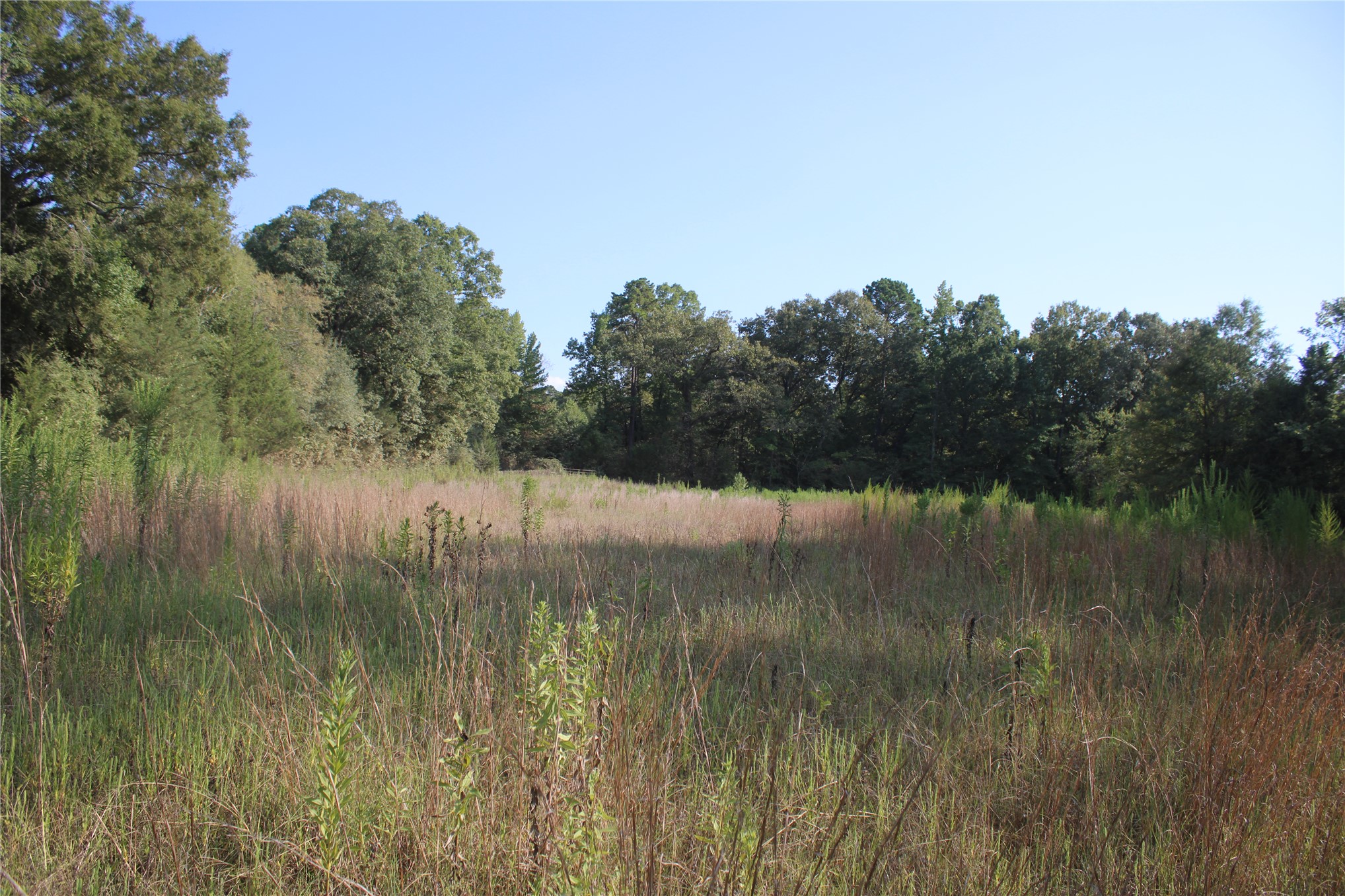 0000 Whippoorwill Road Property Photo 24