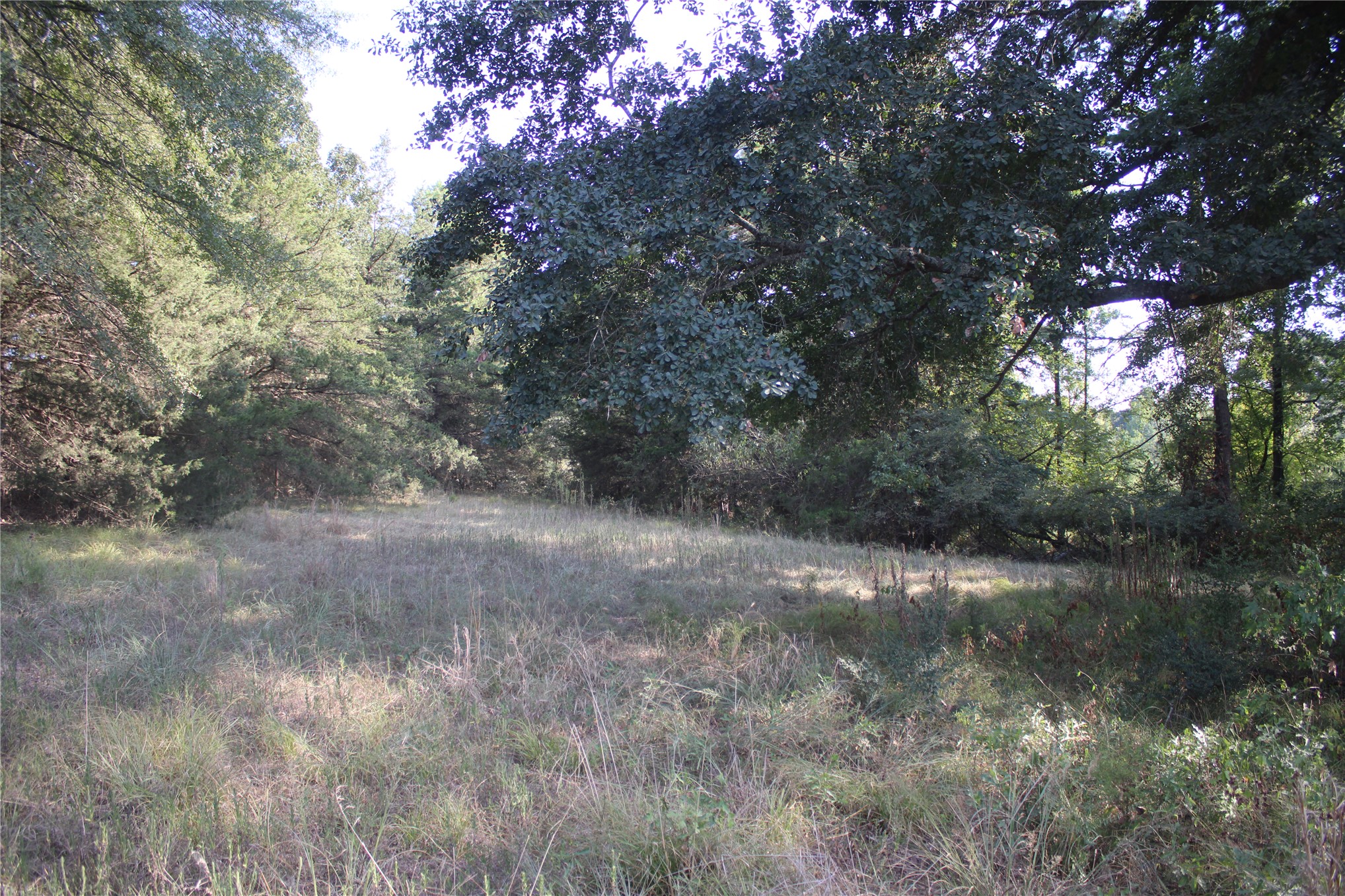 0000 Whippoorwill Road Property Photo 25