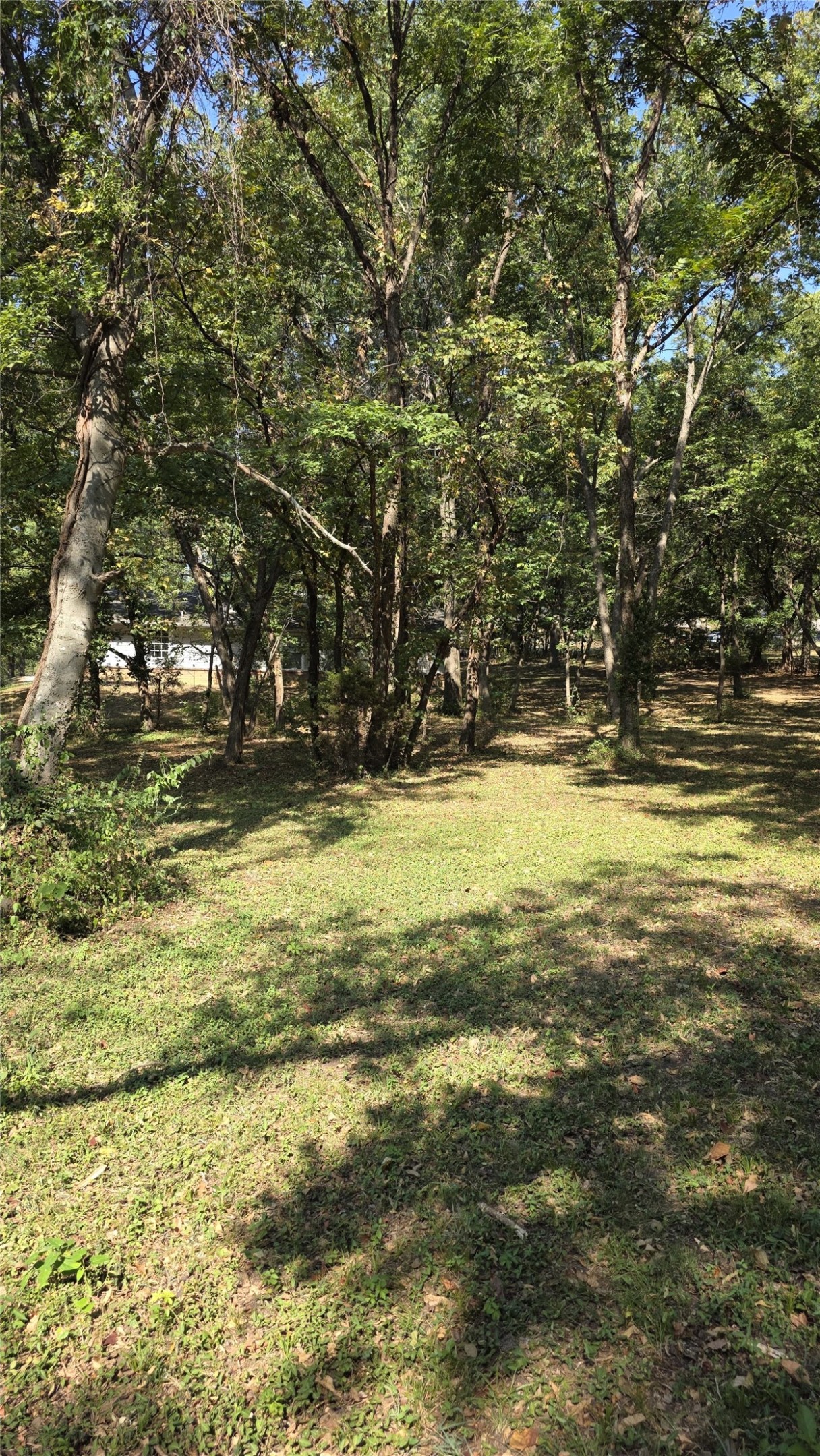 1904 College Park Road Property Photo 34
