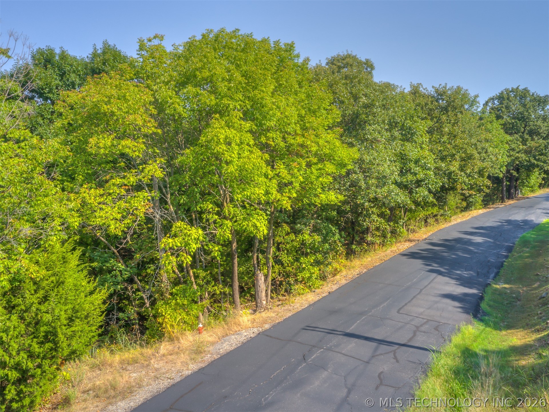2659 W Lakeshore Drive Property Photo 10