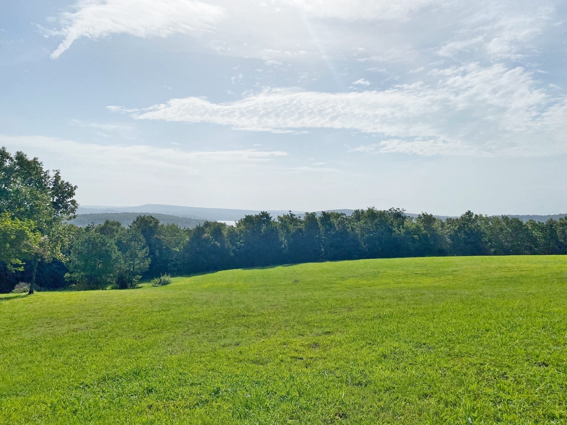 15856 W Dogwood Road Property Photo 31