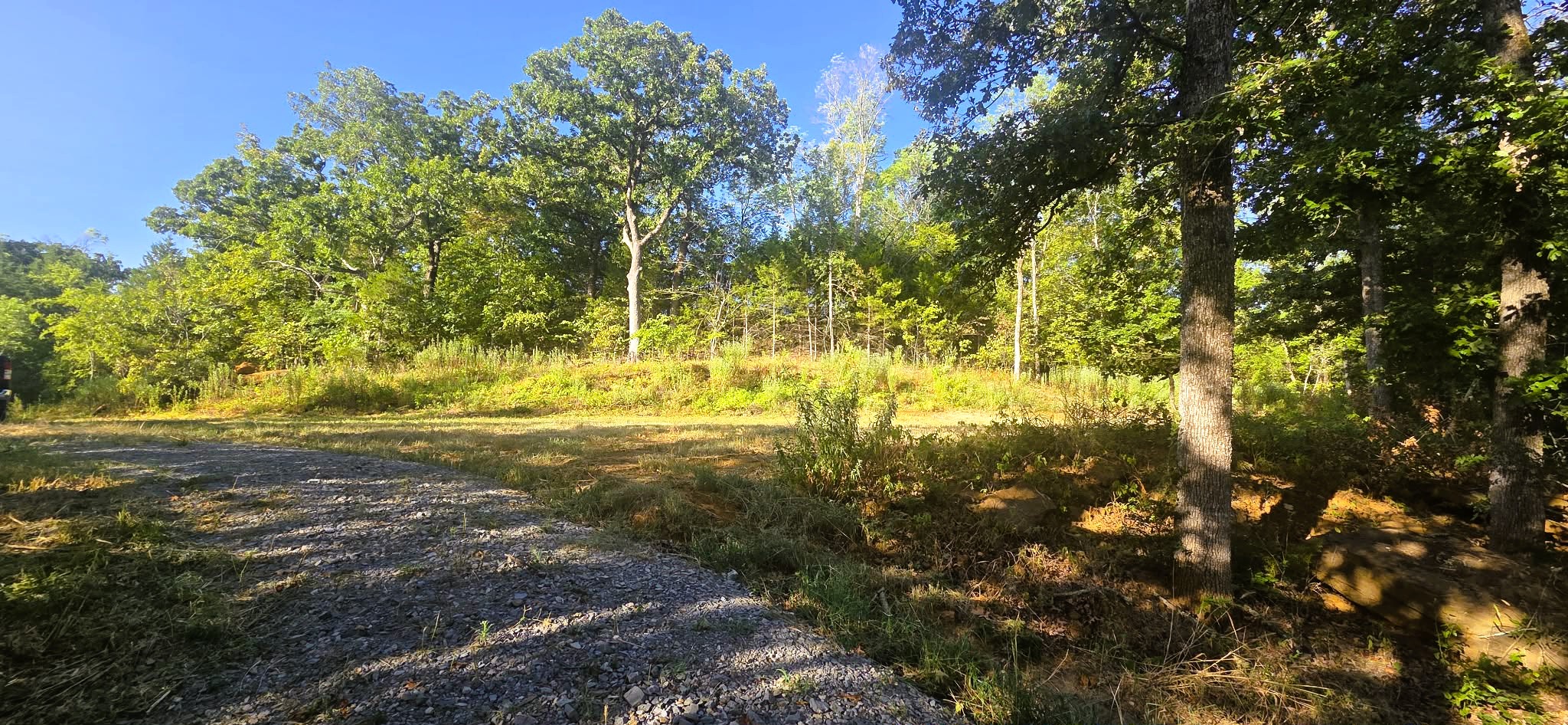 4273 Sawmill Road