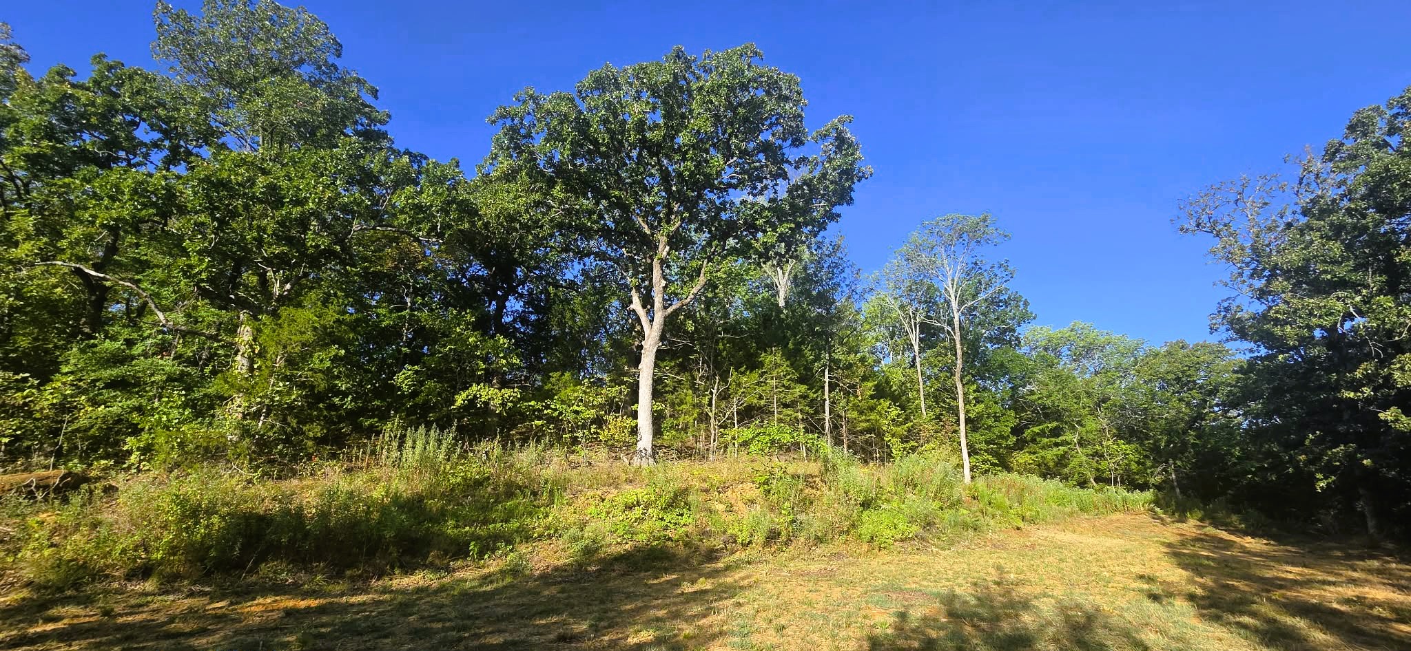 4273 Sawmill Road Property Photo 4