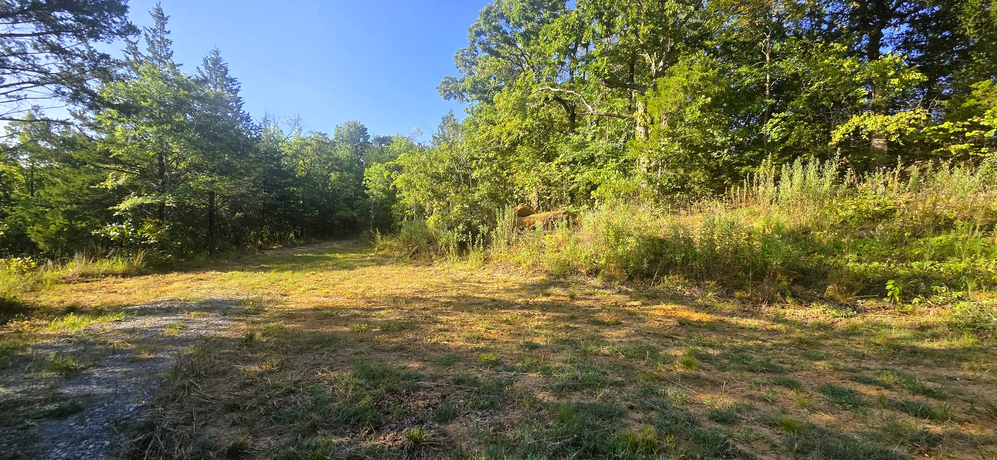 4273 Sawmill Road Property Photo 6