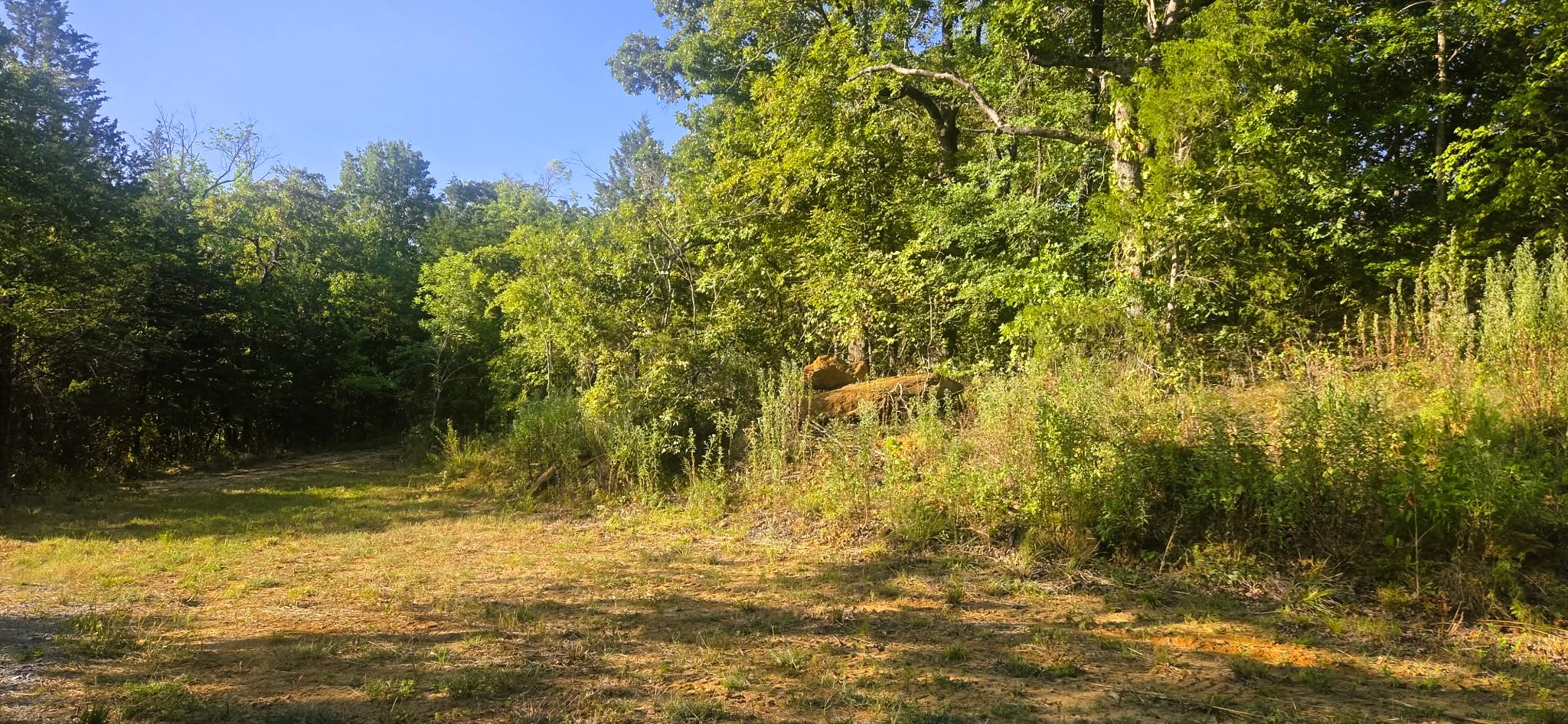 4273 Sawmill Road Property Photo 7