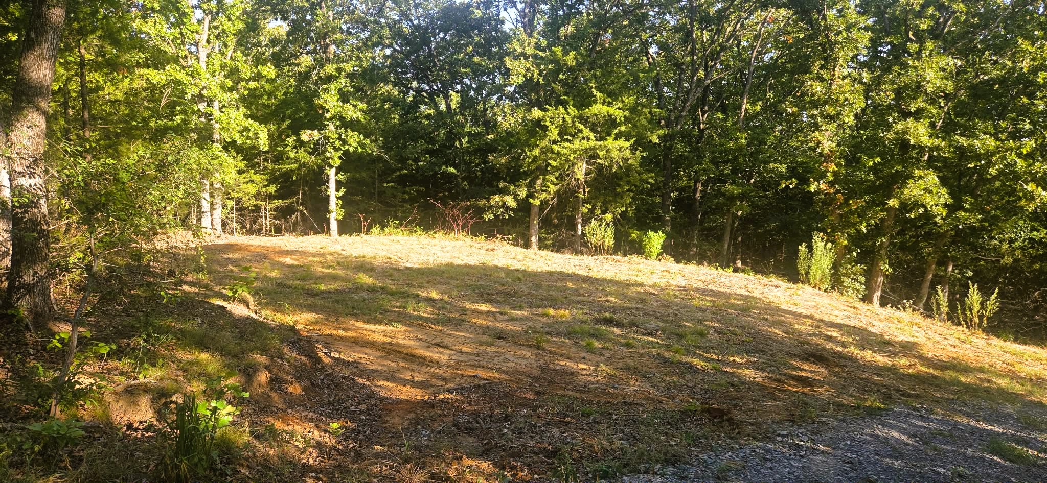 4273 Sawmill Road Property Photo 8