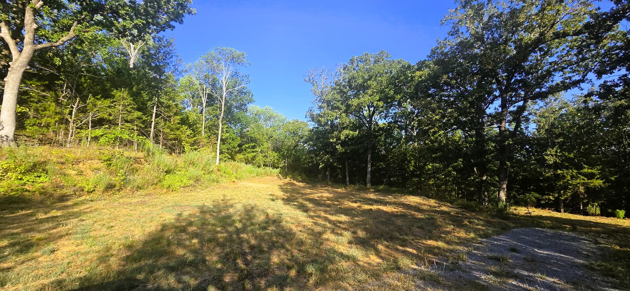 4273 Sawmill Road Property Photo 9