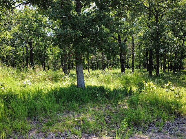 S Qualls Road Property Photo 5