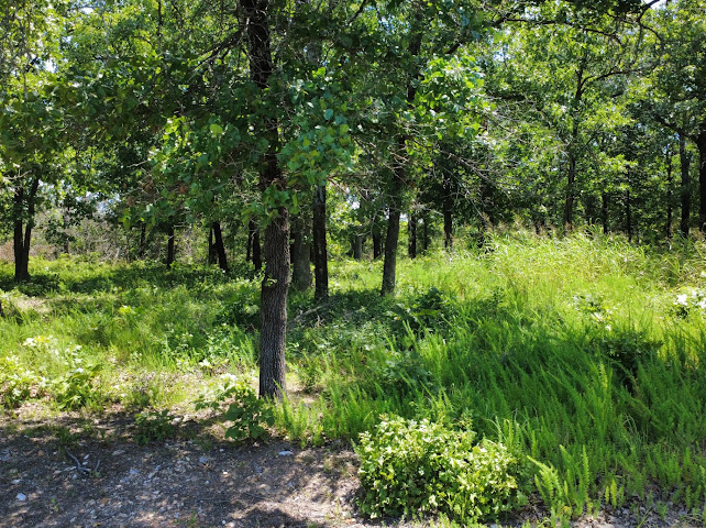 S Qualls Road Property Photo 8