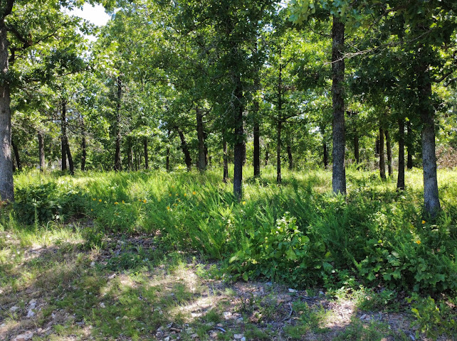 S Qualls Road Property Photo 14