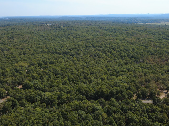 S Qualls Road Property Photo 17