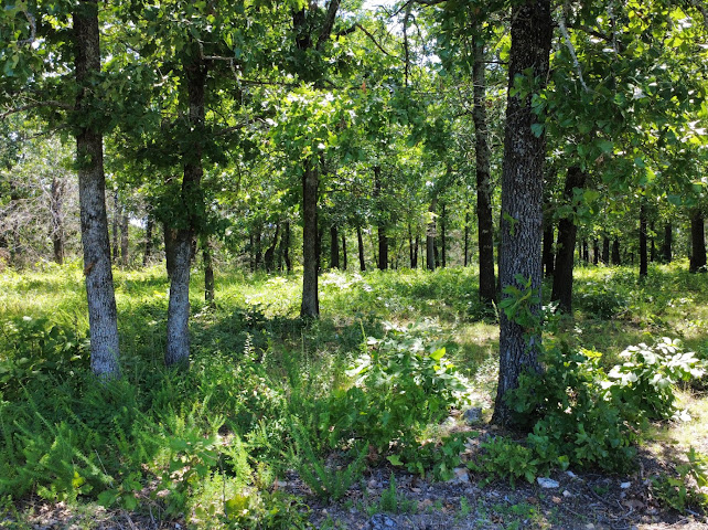 S Qualls Road Property Photo 19