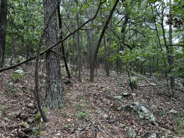 Boggy Mountain Road Property Photo 2