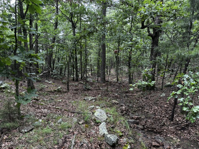 Boggy Mountain Road Property Photo 3